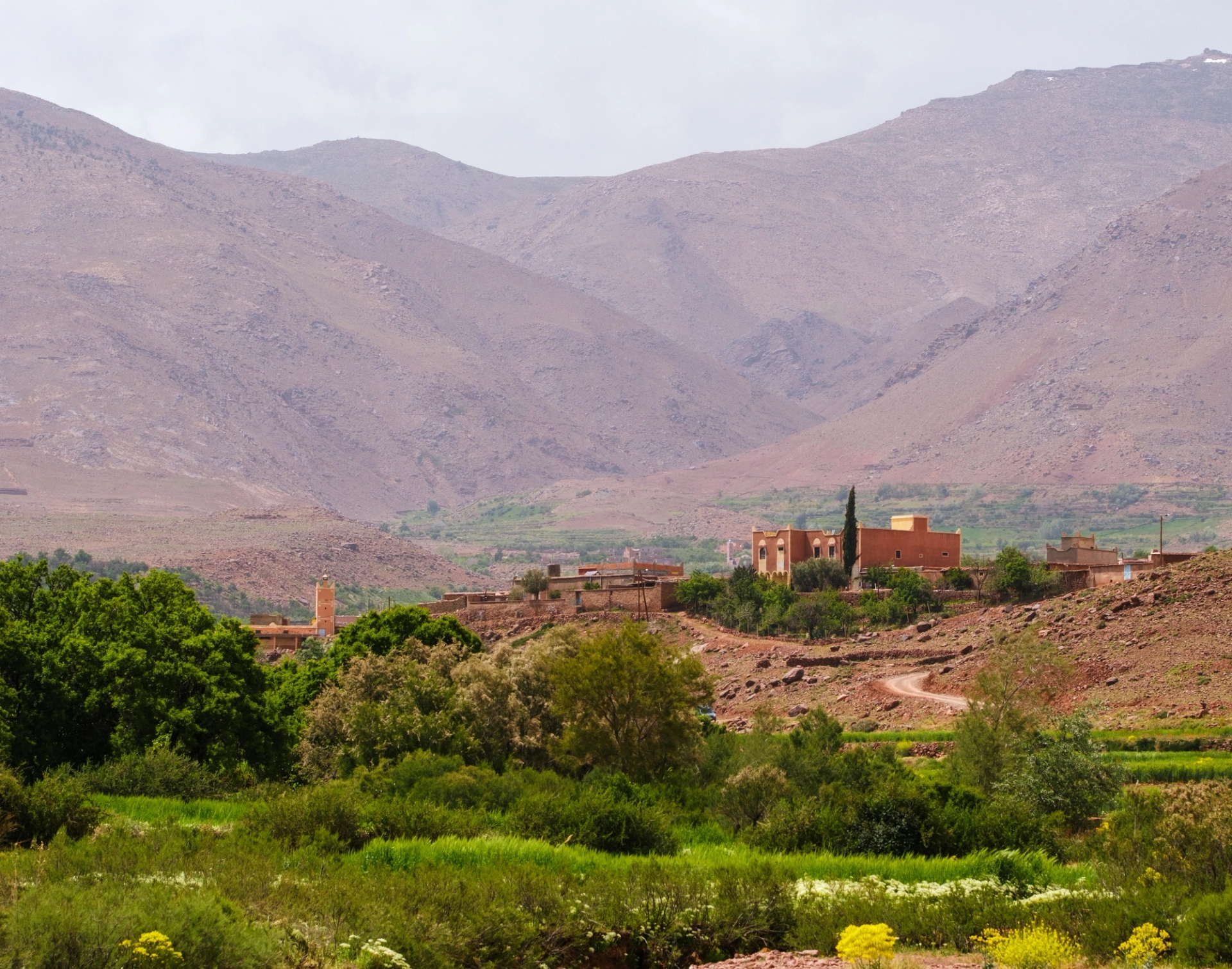 Explore the vibrant greens and rugged terrain of Morocco's Atlas Mountains