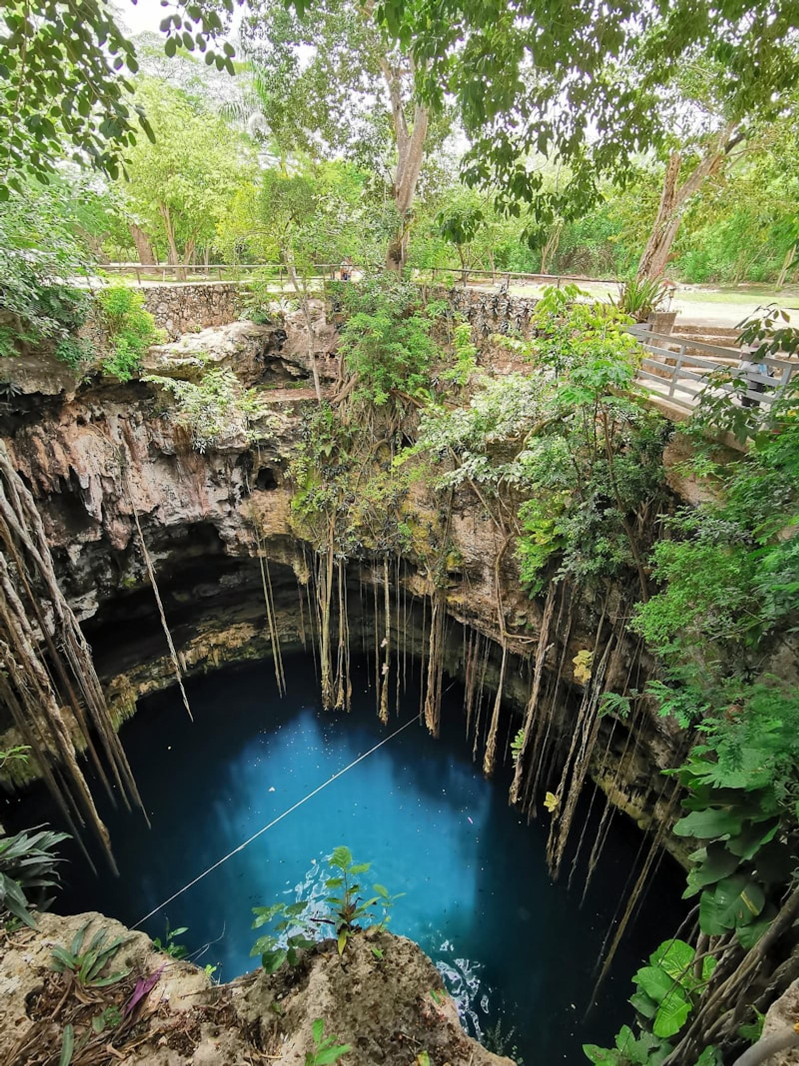 A cenote in the Yucatán