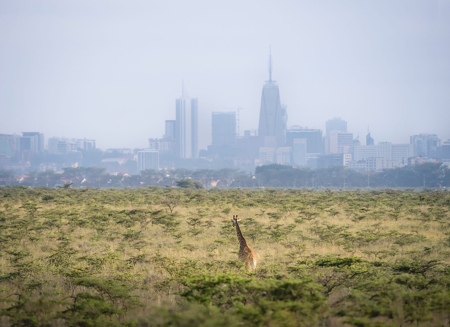 Nairobi — Kenya