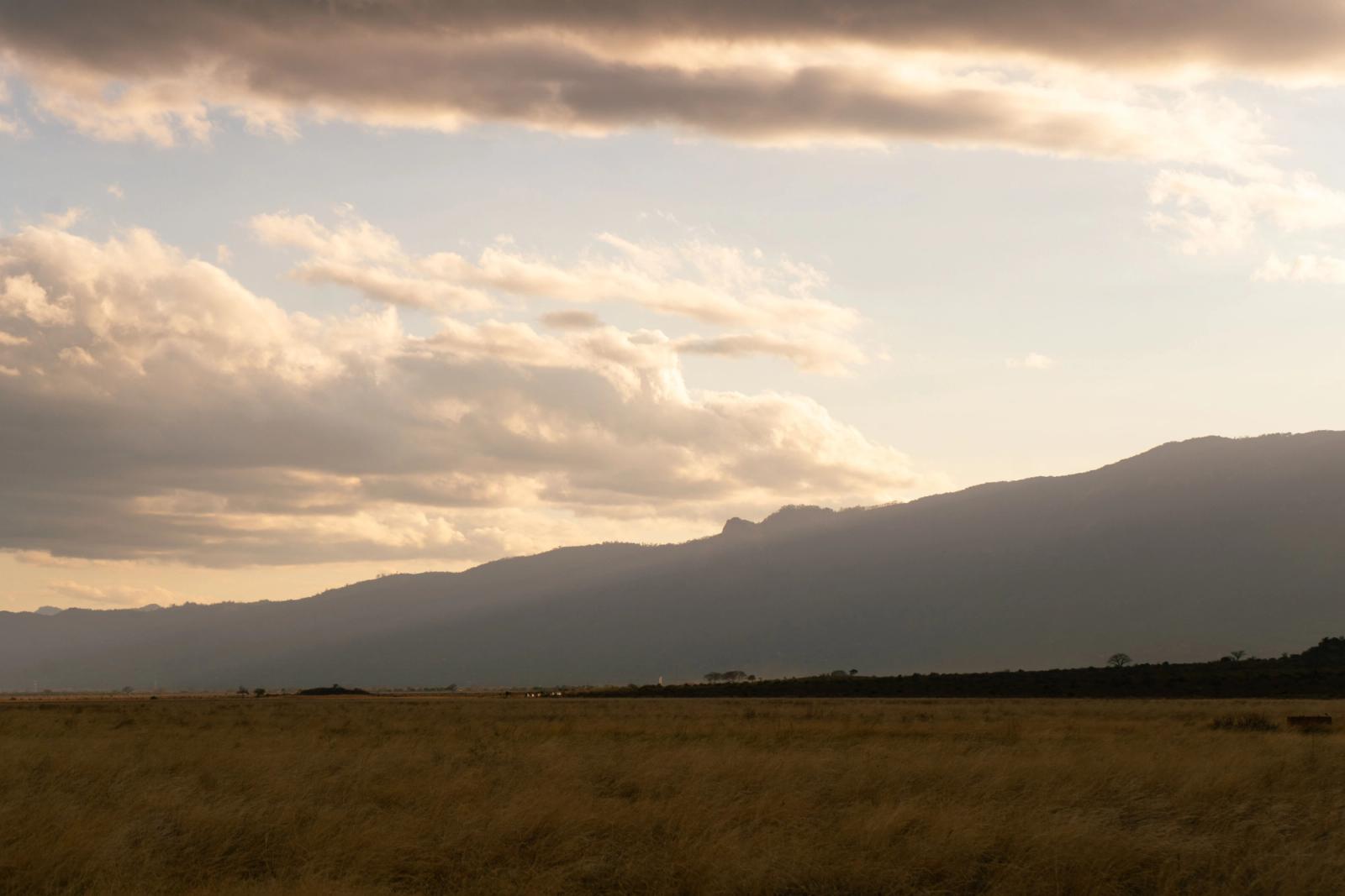 Golden grassland stretching toward hazy hills beneath a clouded evening sky