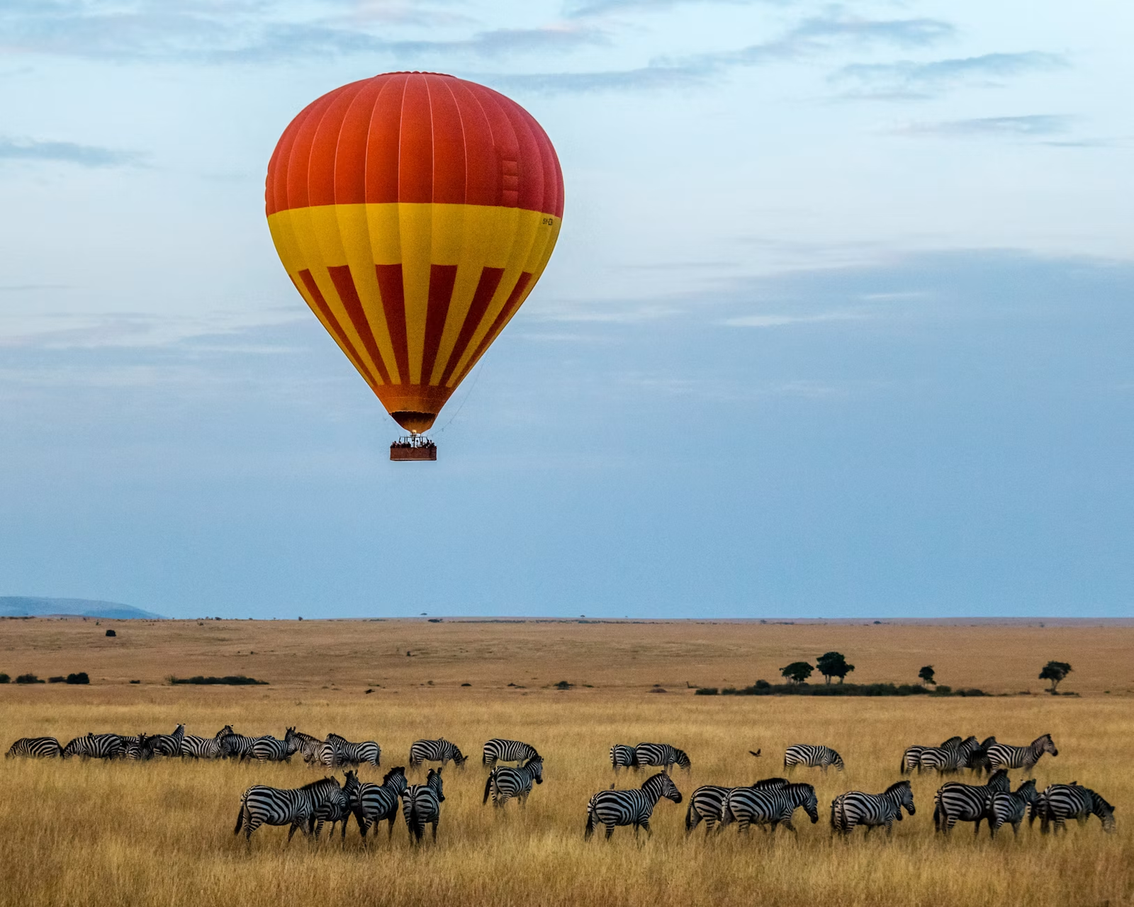 A hot air balloon floating above a herd of zebra on the plains