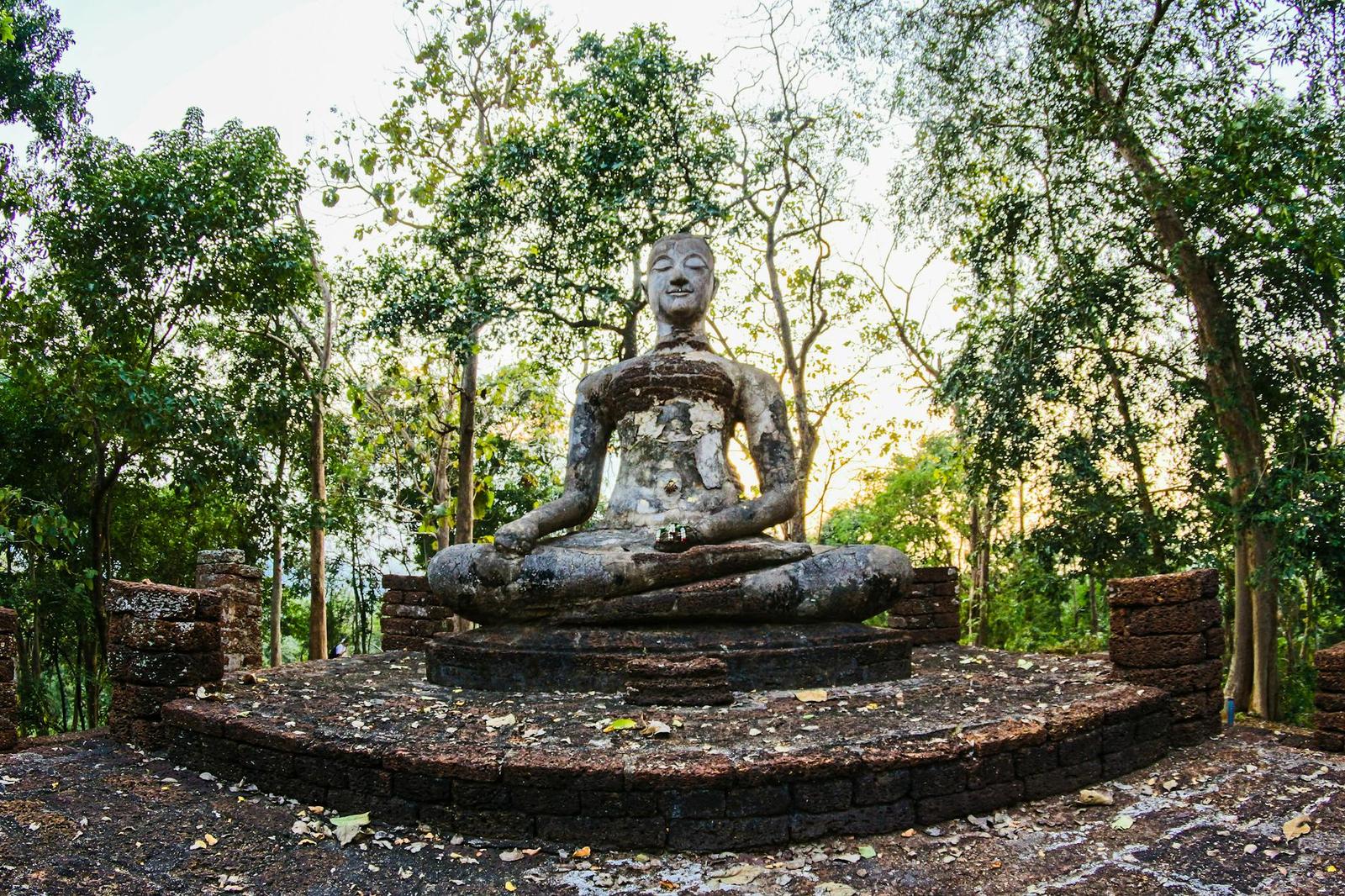 A weathered stone Buddha statue seated in a forest clearing
