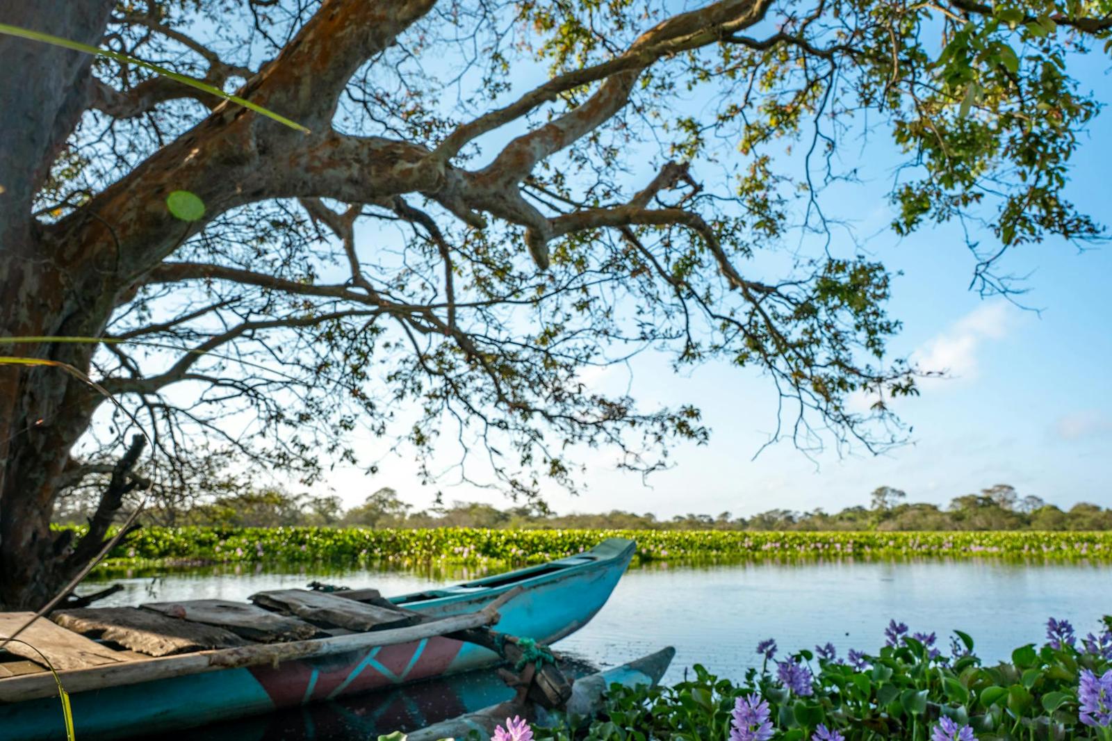 Madhu River Boat Safari, Sri Lanka