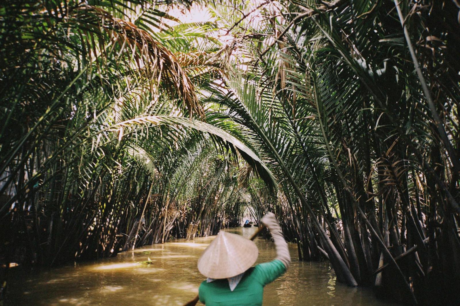 A person in a conical hat paddling a boat through a palm-canopied waterway