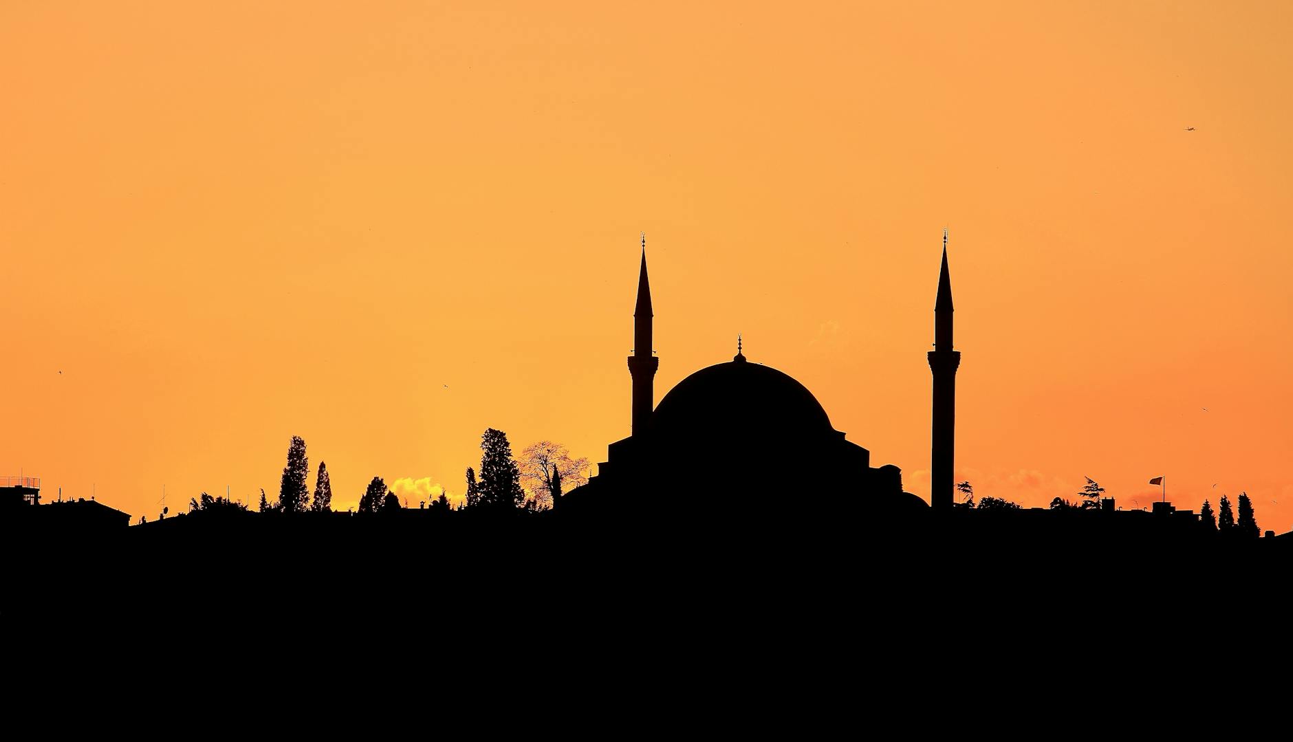 Turkey at golden hour