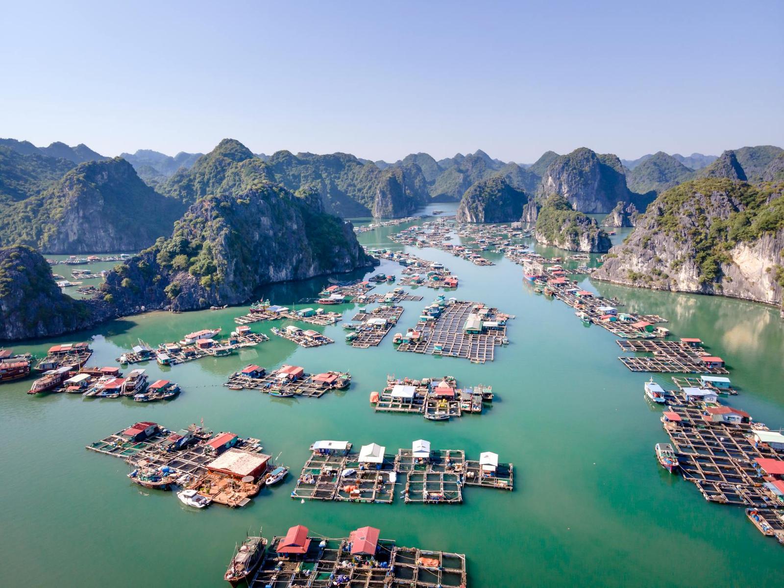 Aerial shot of Lan Ha Bay with floating fishing villages and lush cliffs in northern Vietnam