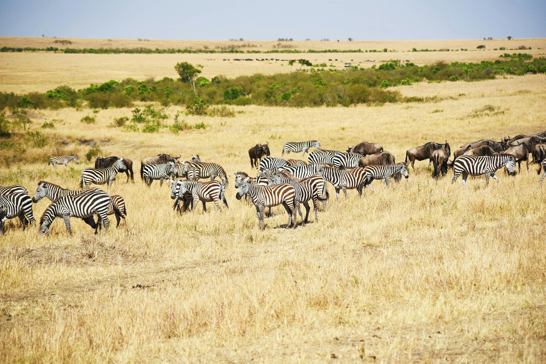A hotel in Masai Mara, Kenya