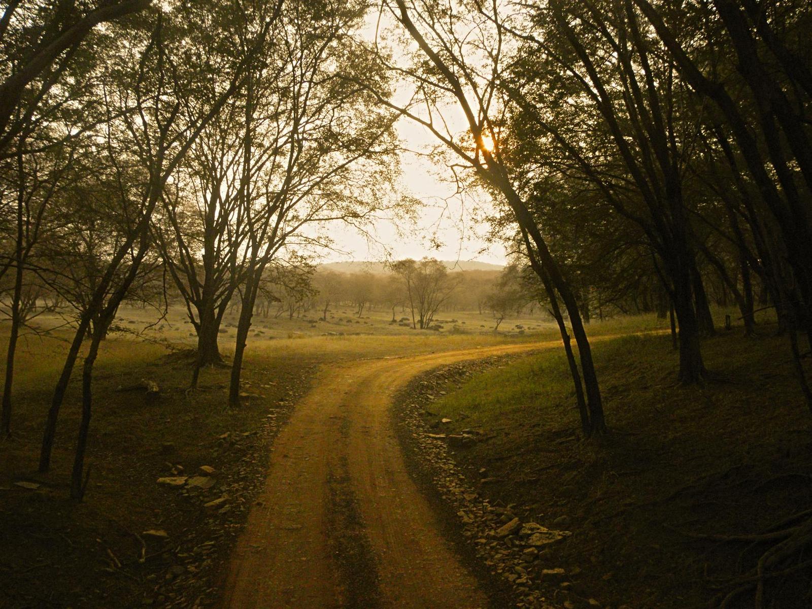 Ranthambore on day 4, India