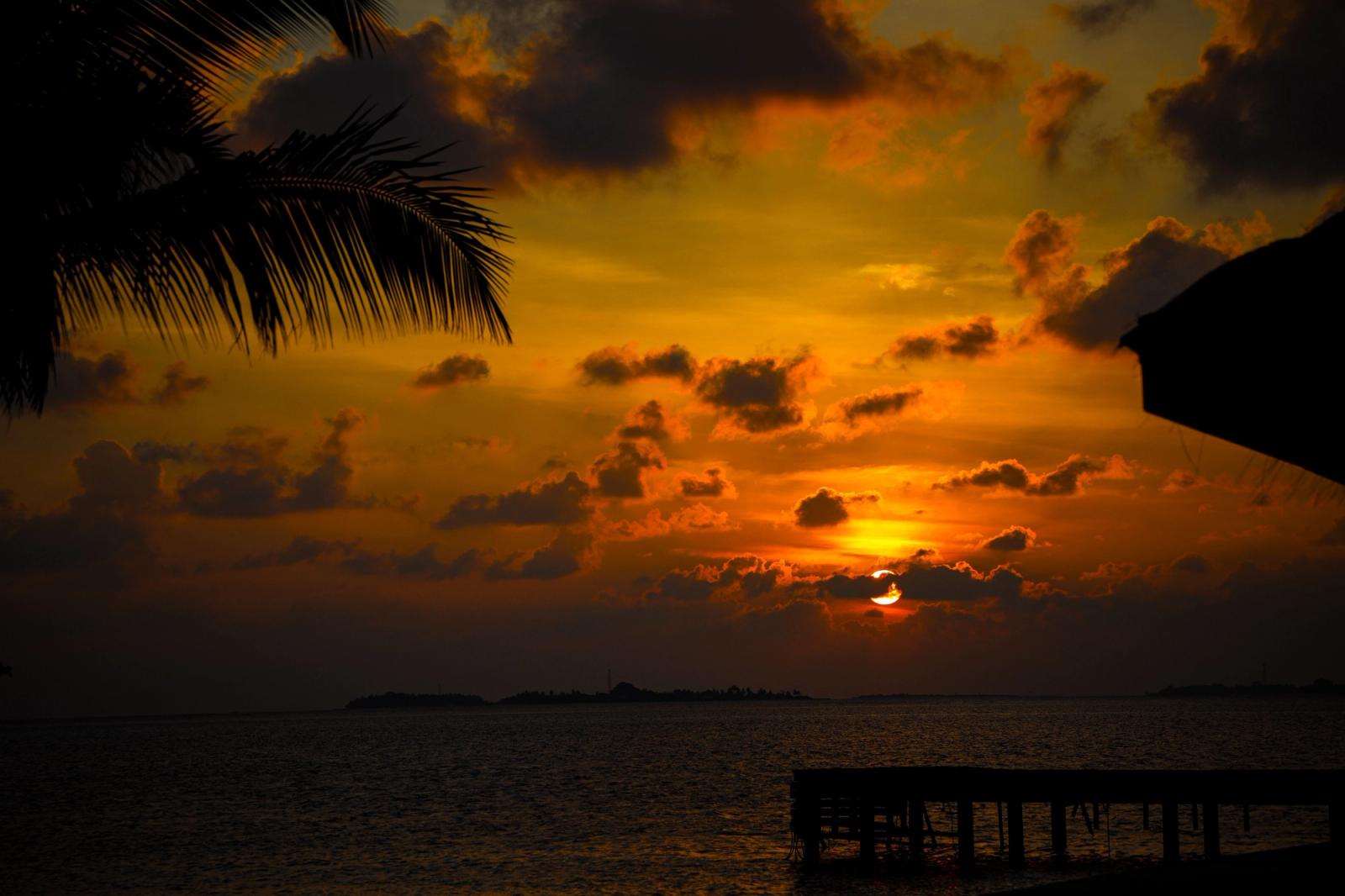 Breathtaking sunset over the Maldives sea with vibrant colors and palm silhouettes