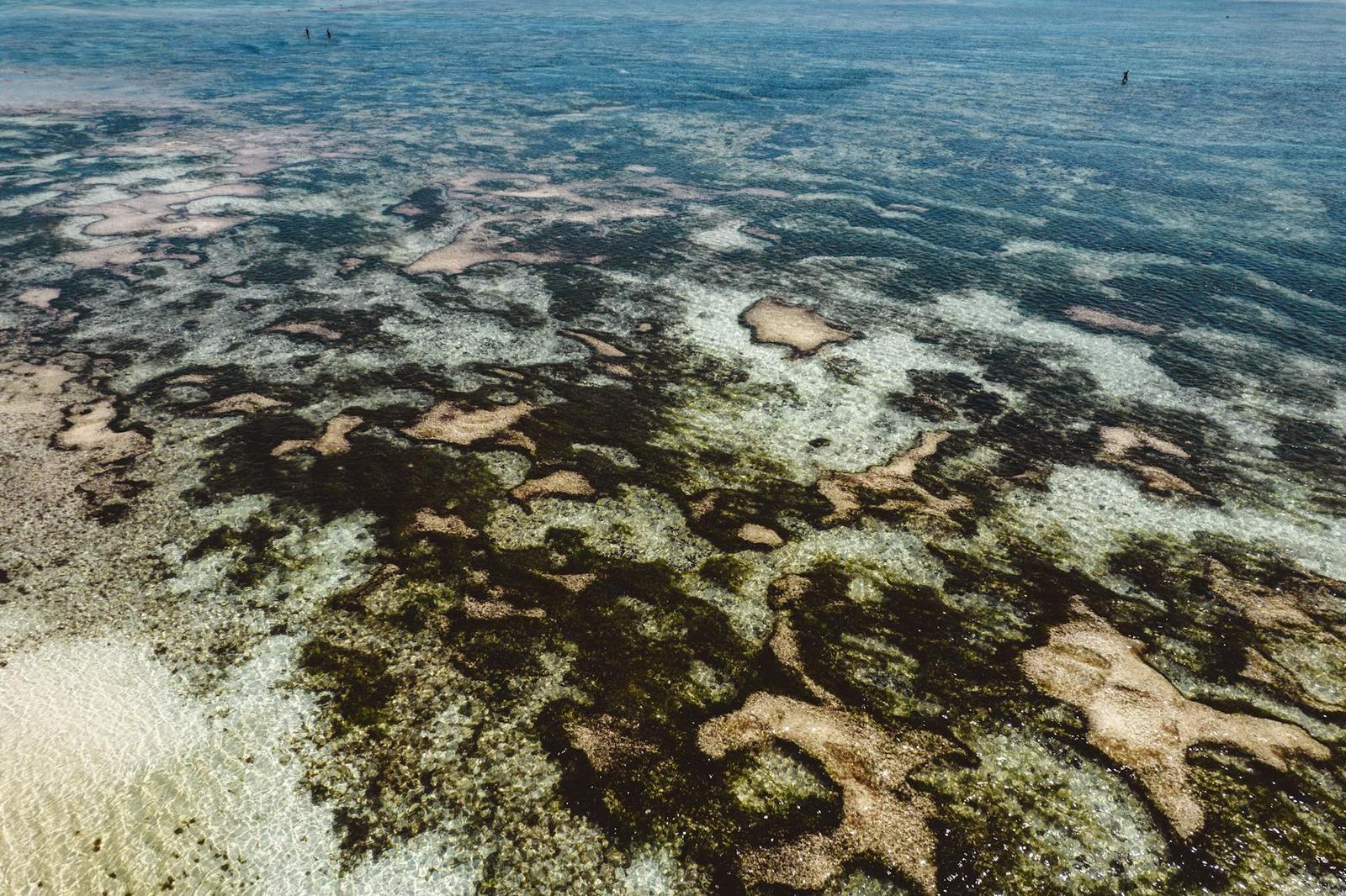 A shallow coral reef visible beneath clear turquoise shallows near a beach