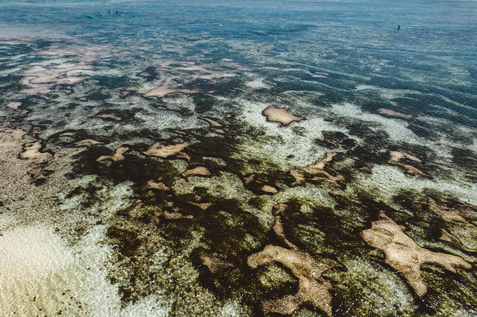 A shallow coral reef visible beneath clear turquoise shallows near a beach