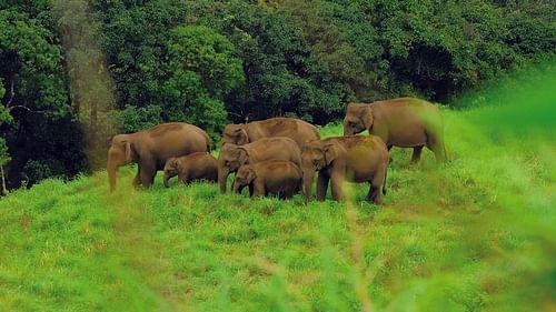 Kerala Highlights 2