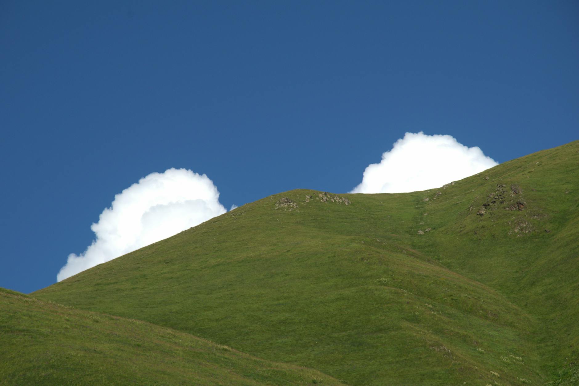Green hills — Gabala, Azerbaijan