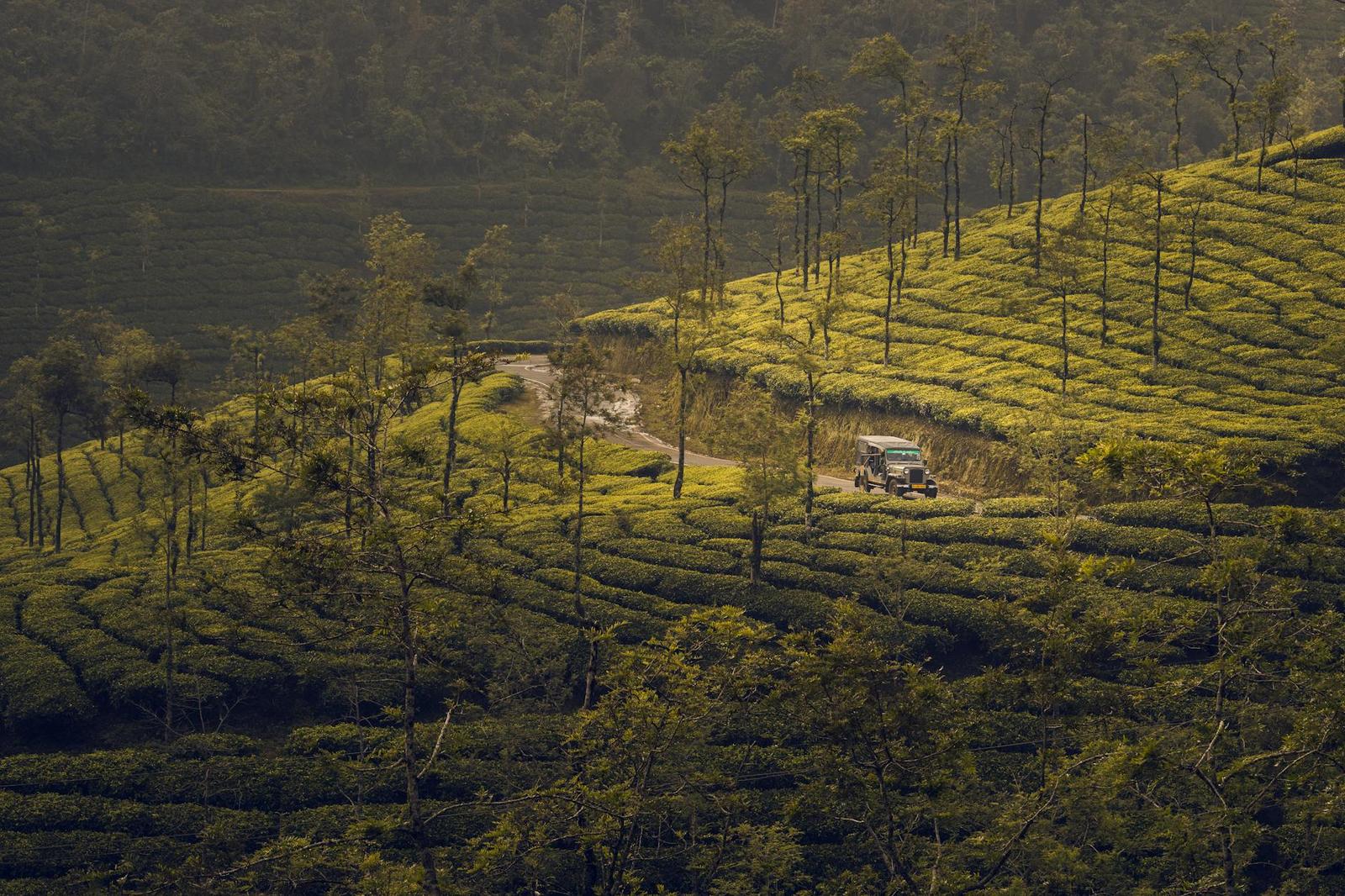 Munnar on day 2, India