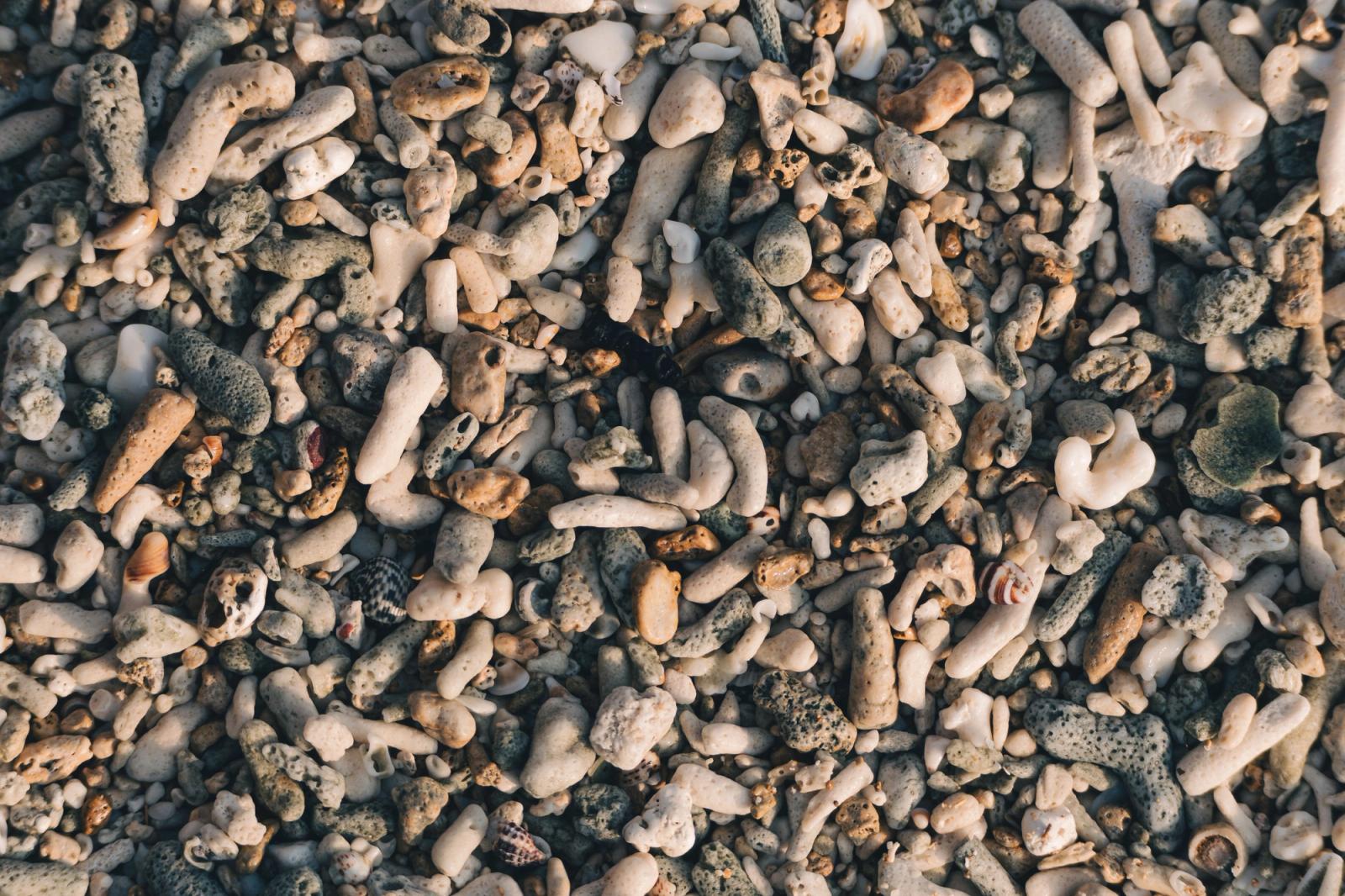 Detailed view of coral fragments and pebbles at a beach in Port Blair, India