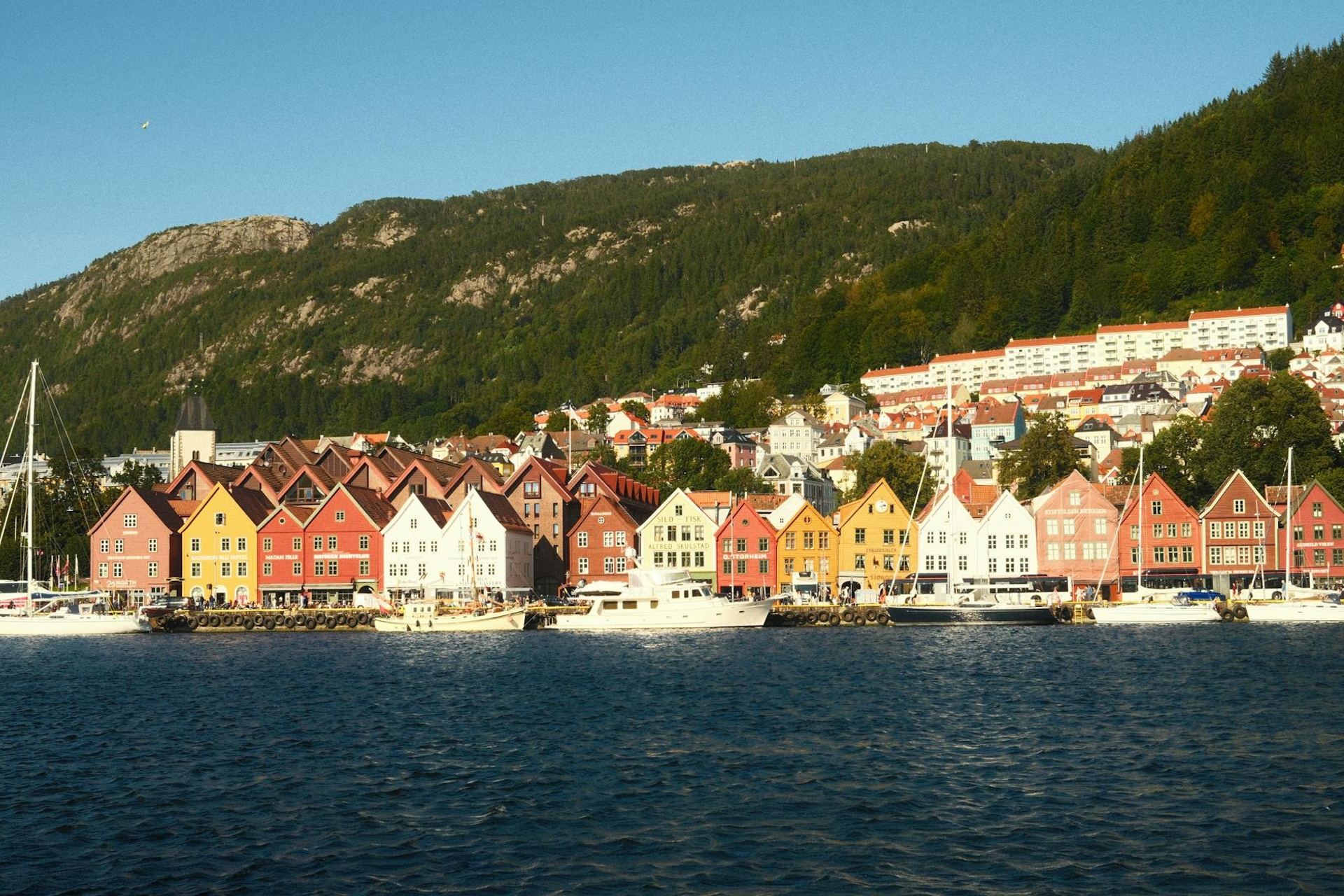 Row of colourful waterfront houses beneath a forested hillside