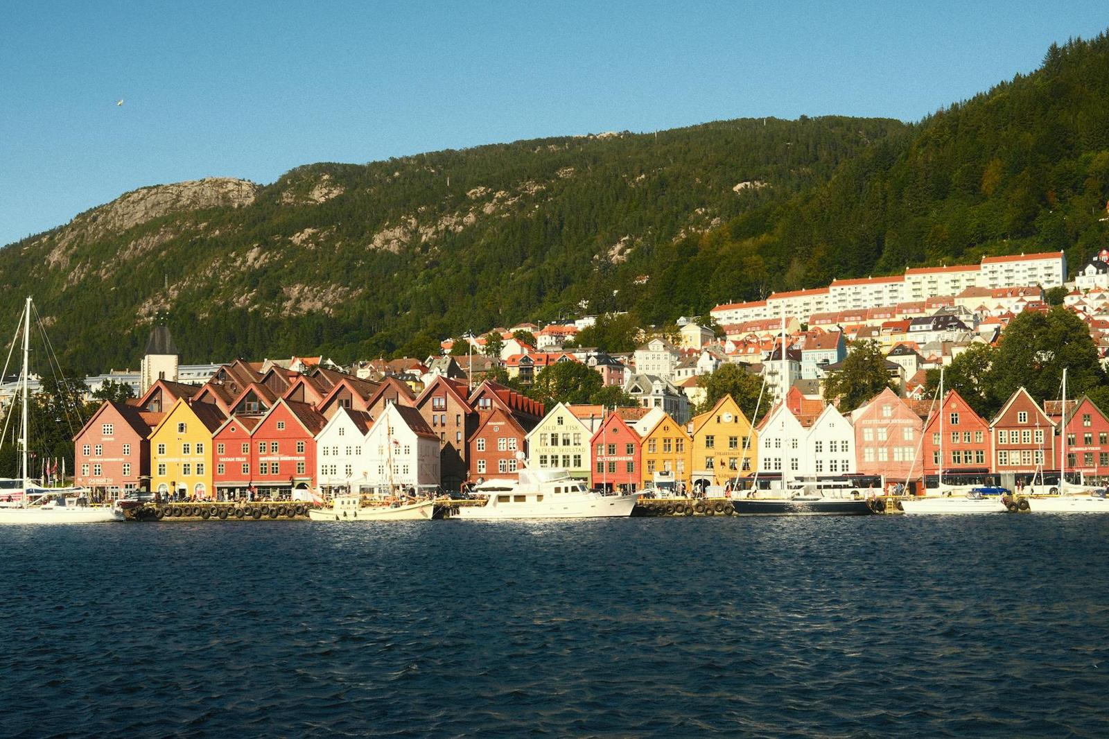 Row of colourful waterfront houses beneath a forested hillside