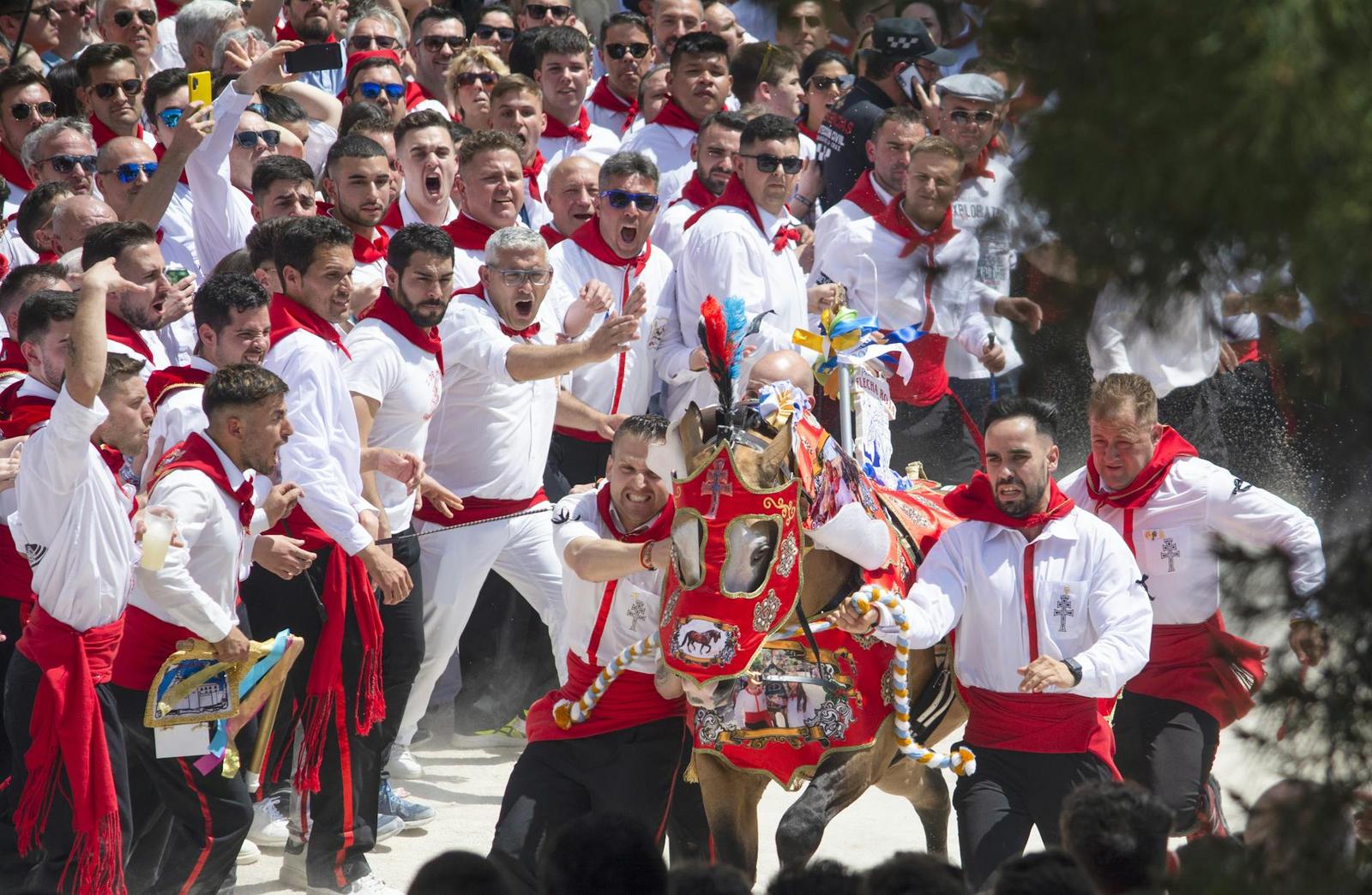 A crowd in red and white escorting a decorated horse through a festival procession