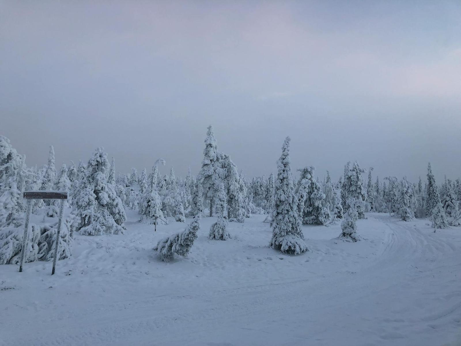 Rovaniemi on day 3, Finland + Norway