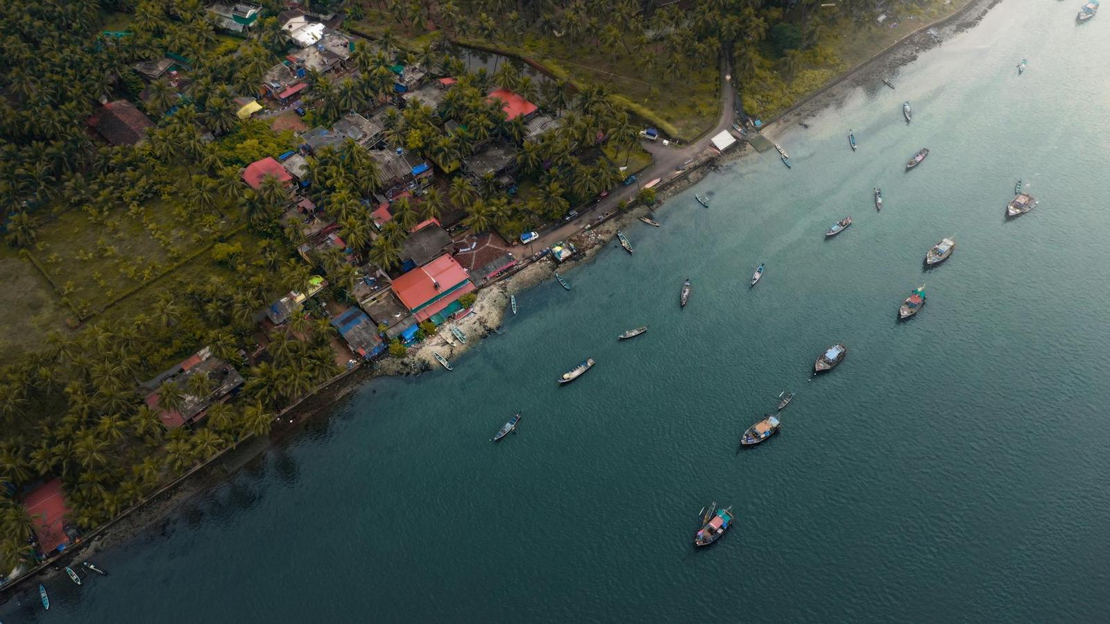 Aerial view of fishing boats anchored off a palm-fringed coastal village