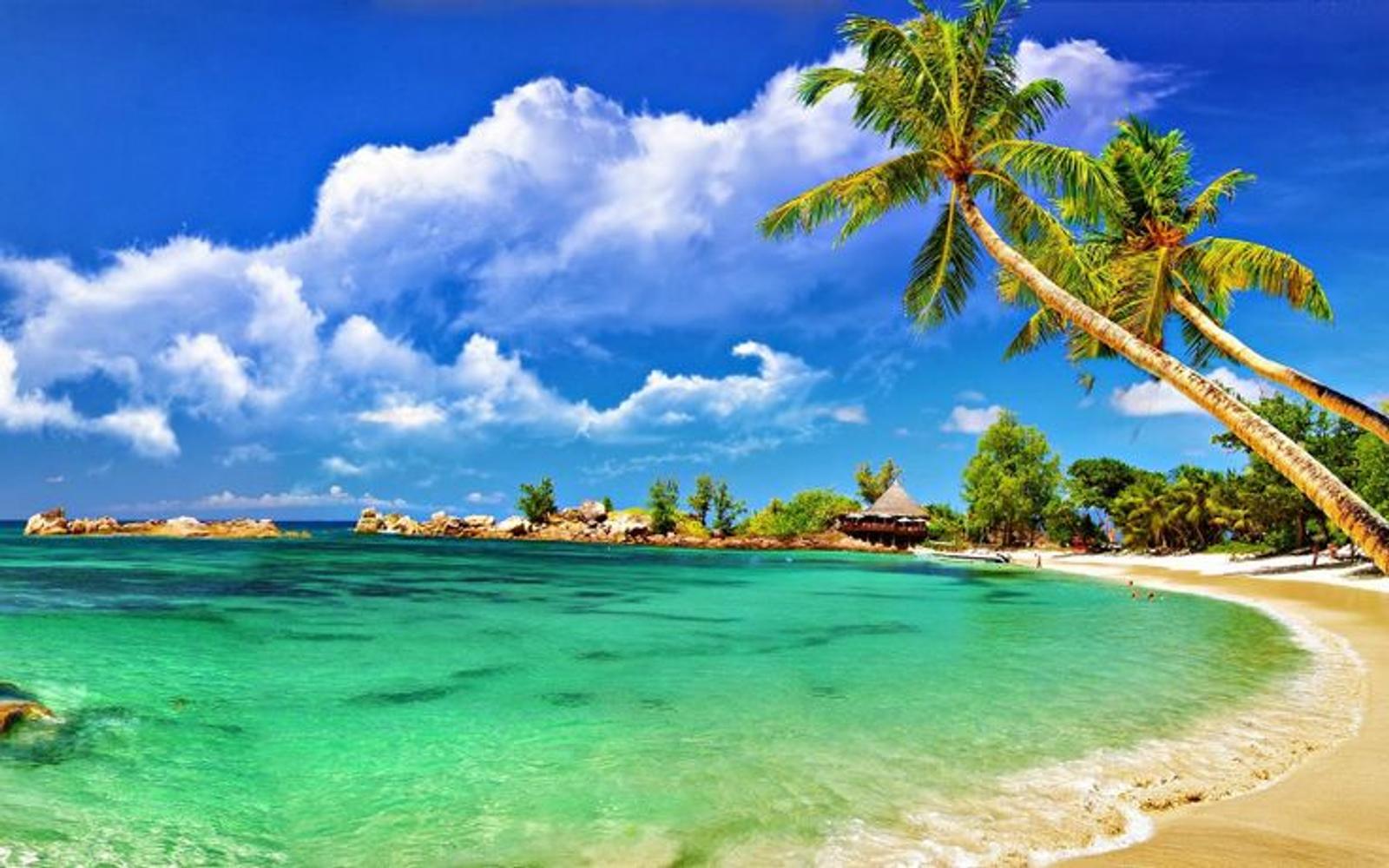 Beach