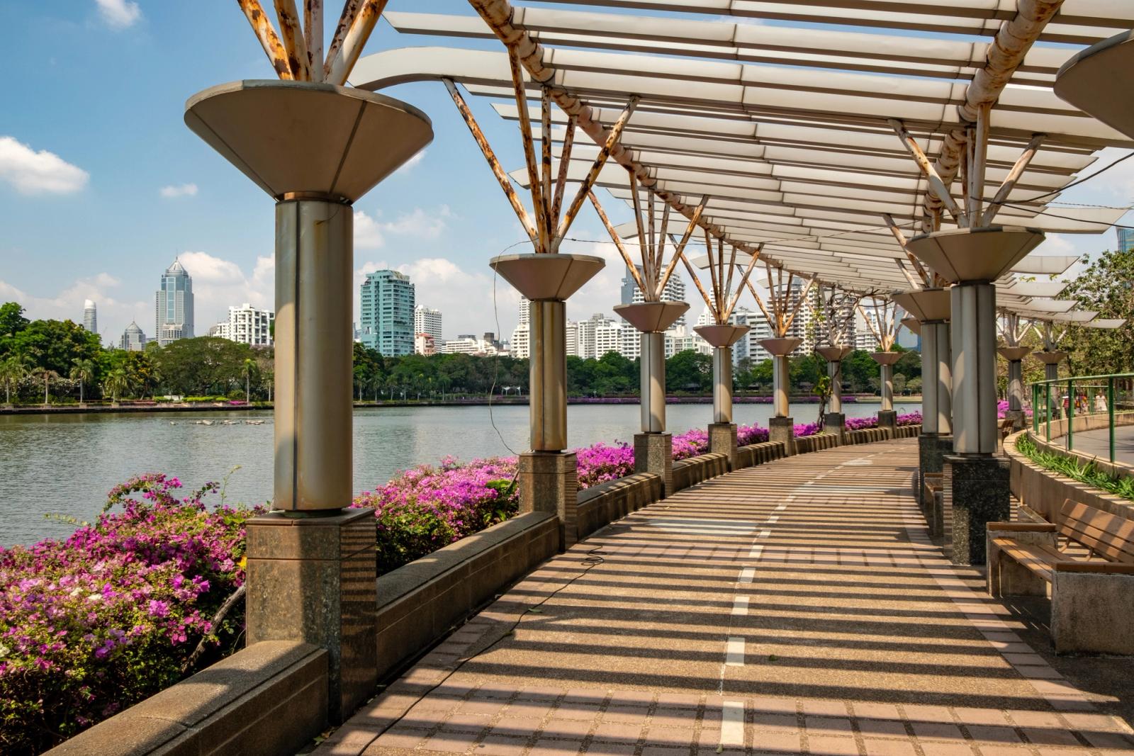 Sunlit pathway with purple flowers and city skyline in Bangkok, Thailand