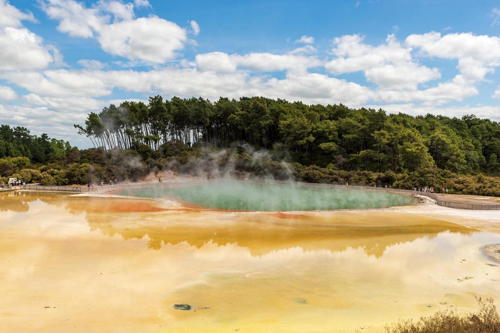 Auckland Waitomo Rotorua Sic — New Zealand