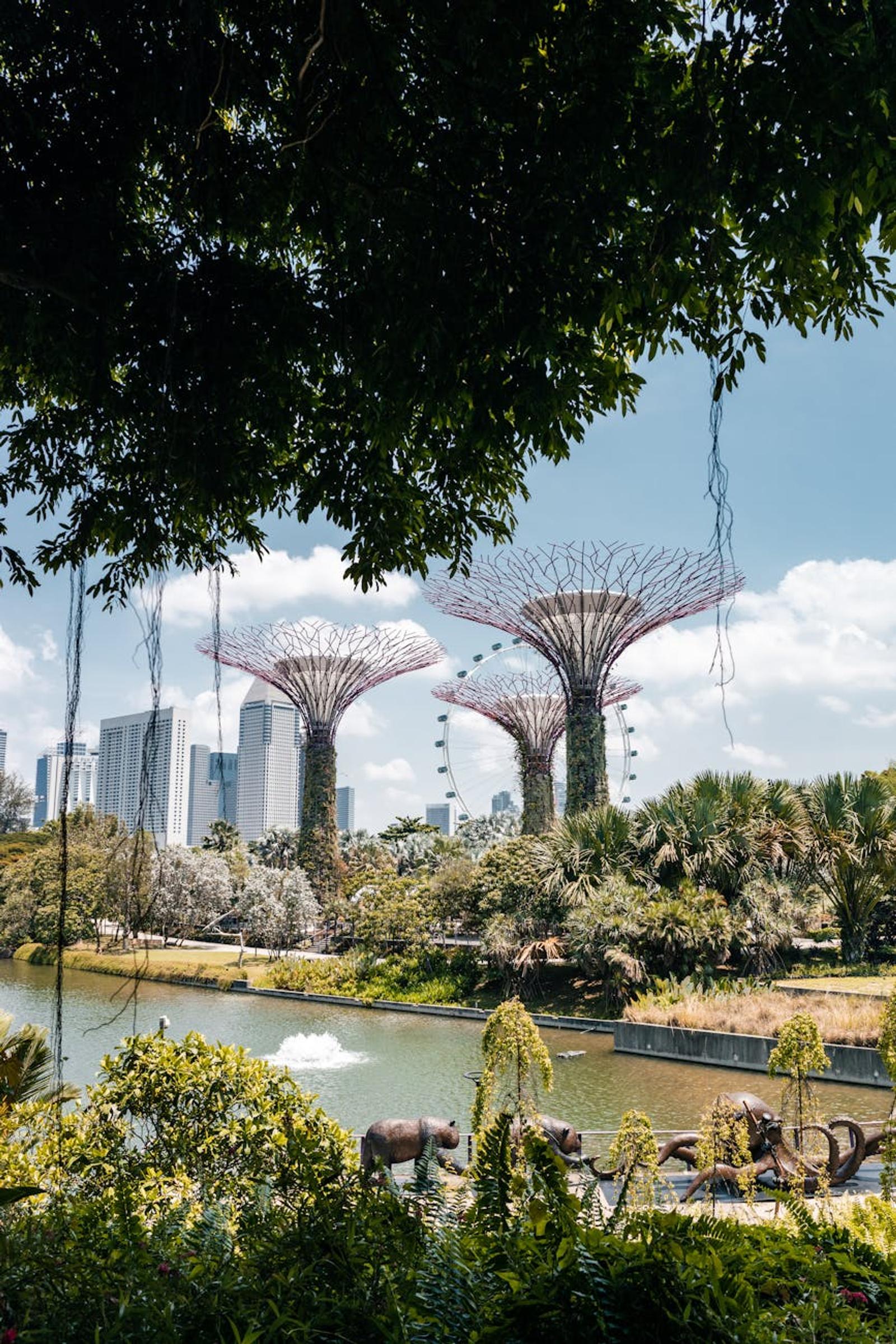 Safari Gardens Bay — Singapore