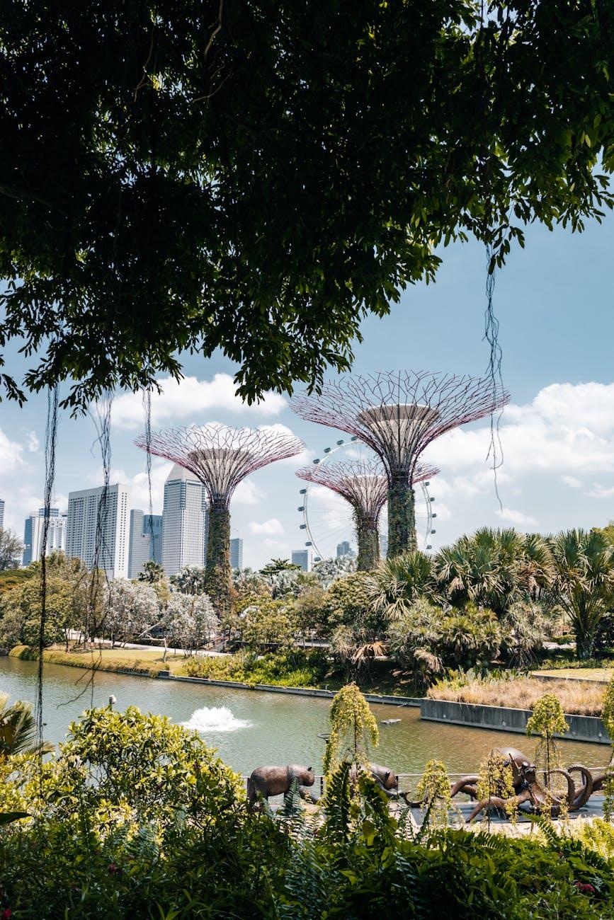Safari Gardens Bay — Singapore