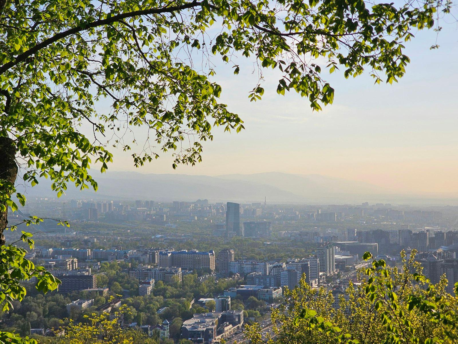 Almaty spread below the mountains, seen through spring leaves
