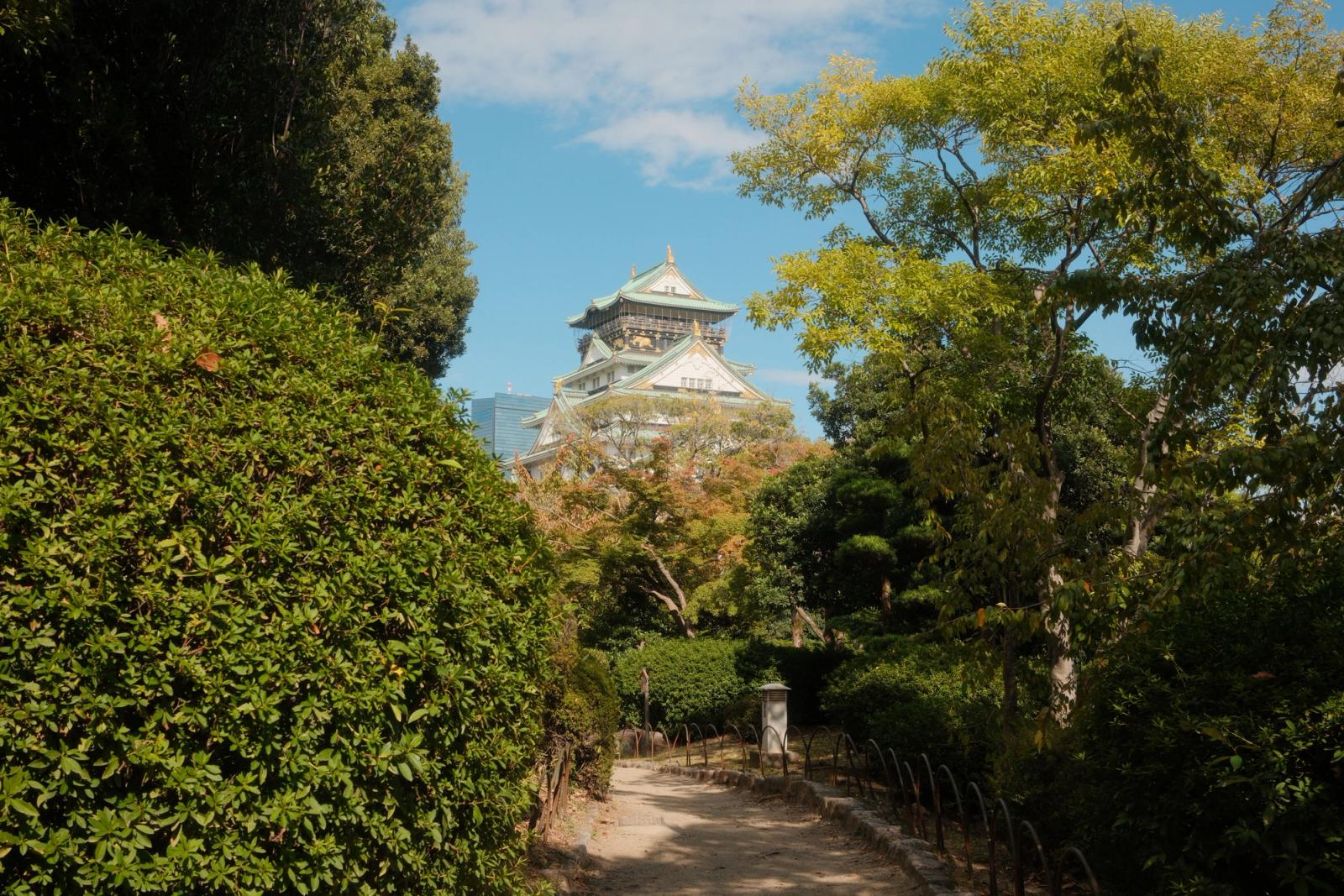 Beautiful view of Osaka Castle surrounded by vibrant autumn foliage in Osaka, Japan