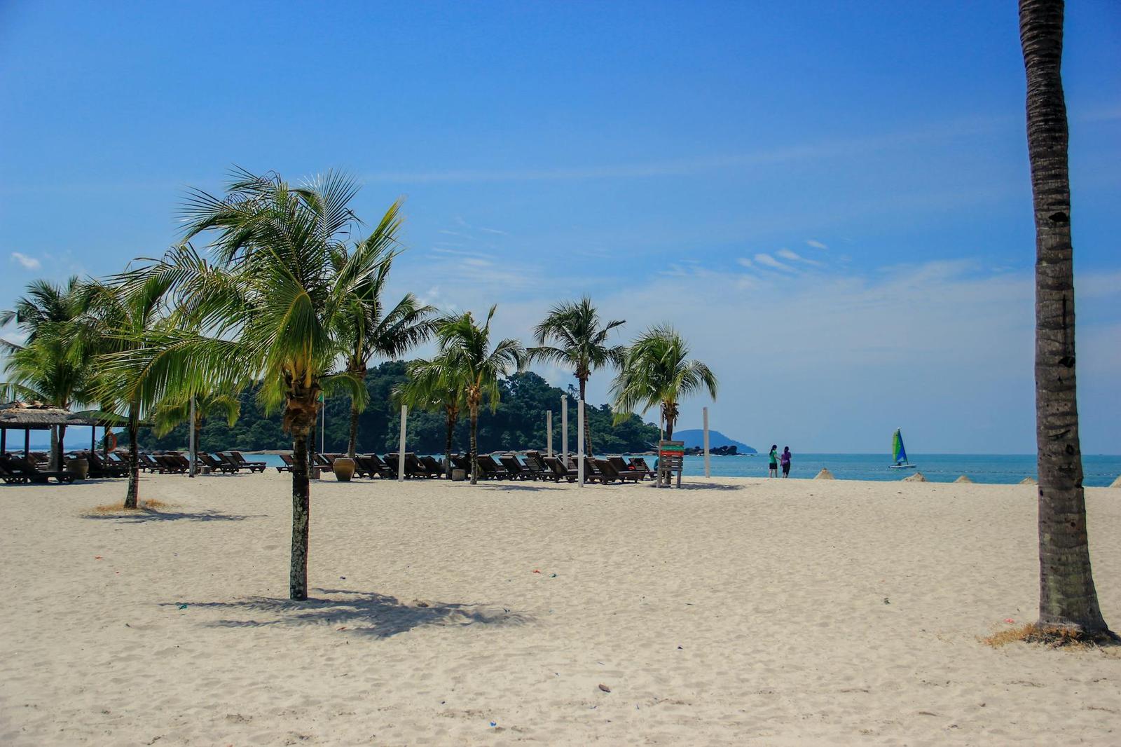 Palm-lined sandy beach with loungers and calm turquoise water beyond
