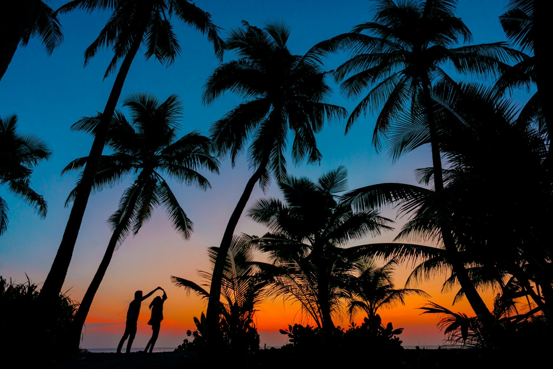 A couple dancing under silhouetted palm trees at sunset