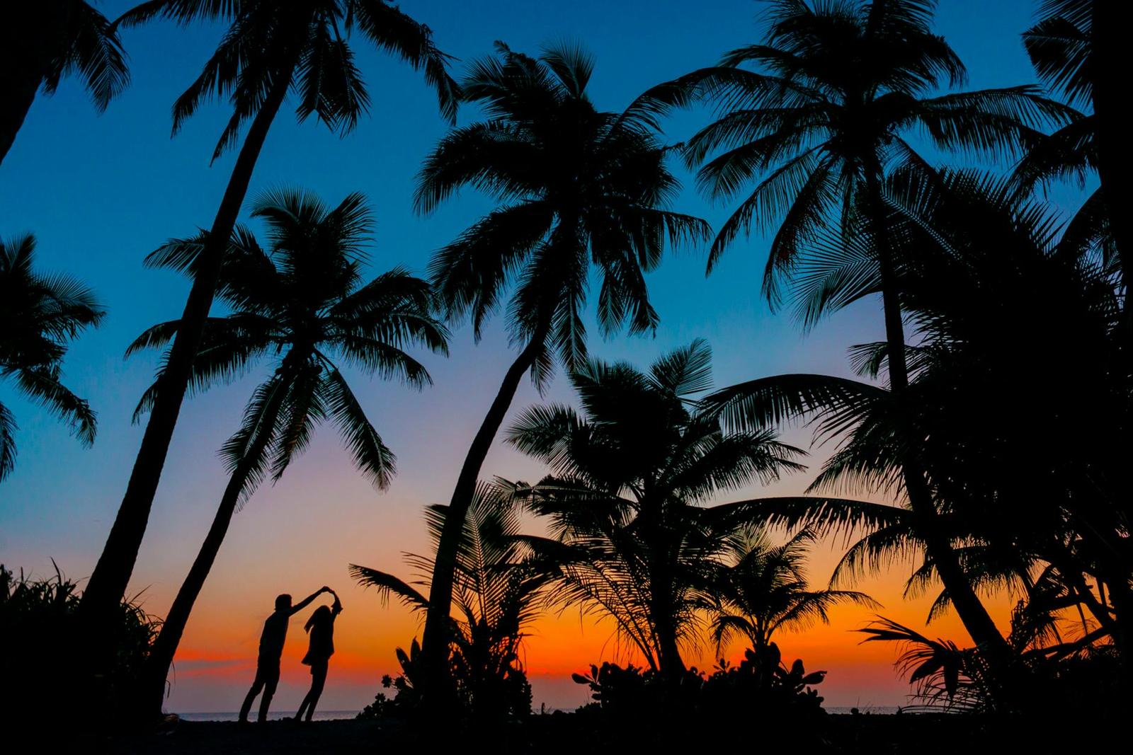 A couple dancing under silhouetted palm trees at sunset