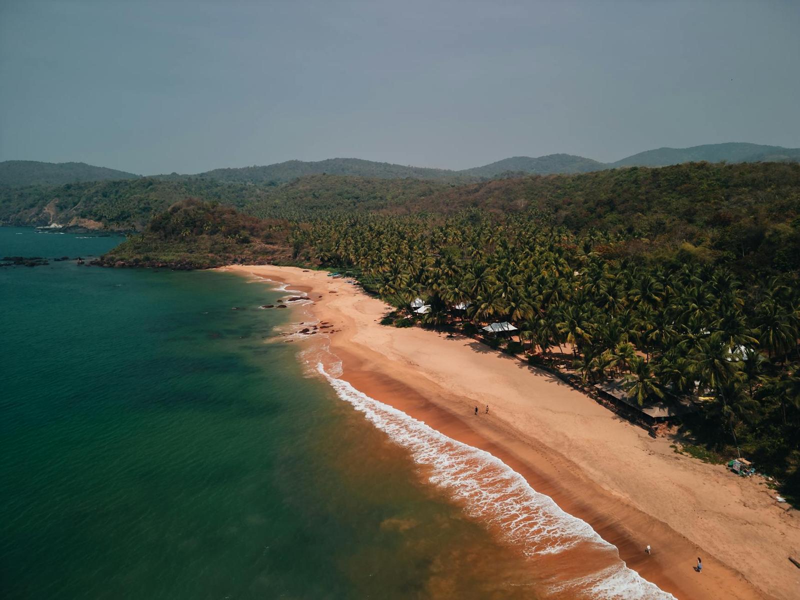 Aerial view of a palm-fringed cove beach with turquoise shallows