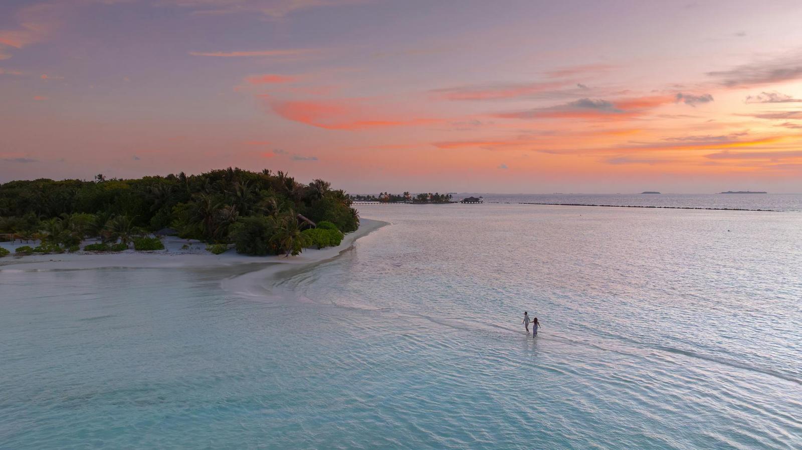 Two people standing in shallow water off a forested island at sunset