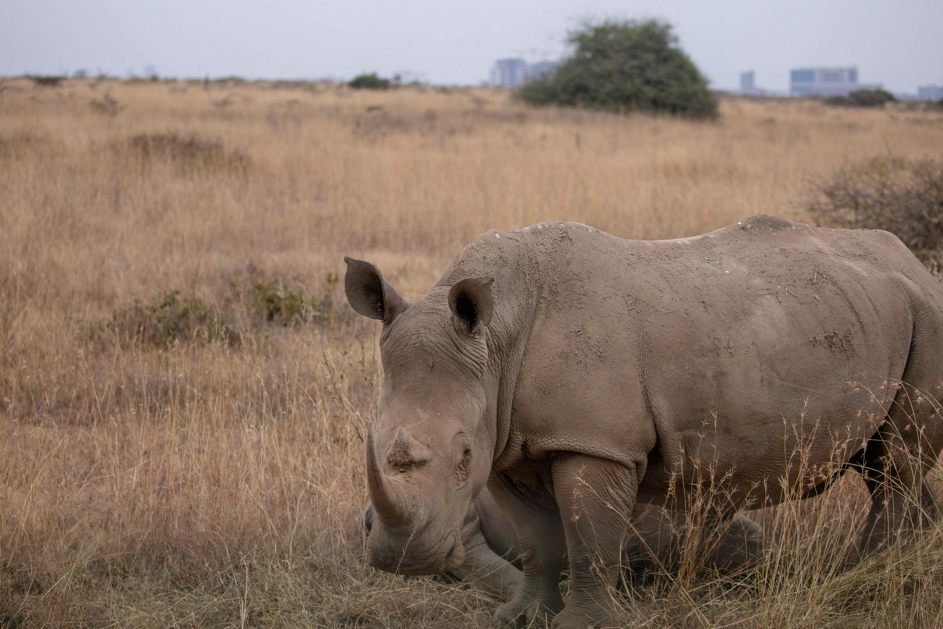 Nairobi, Kenya