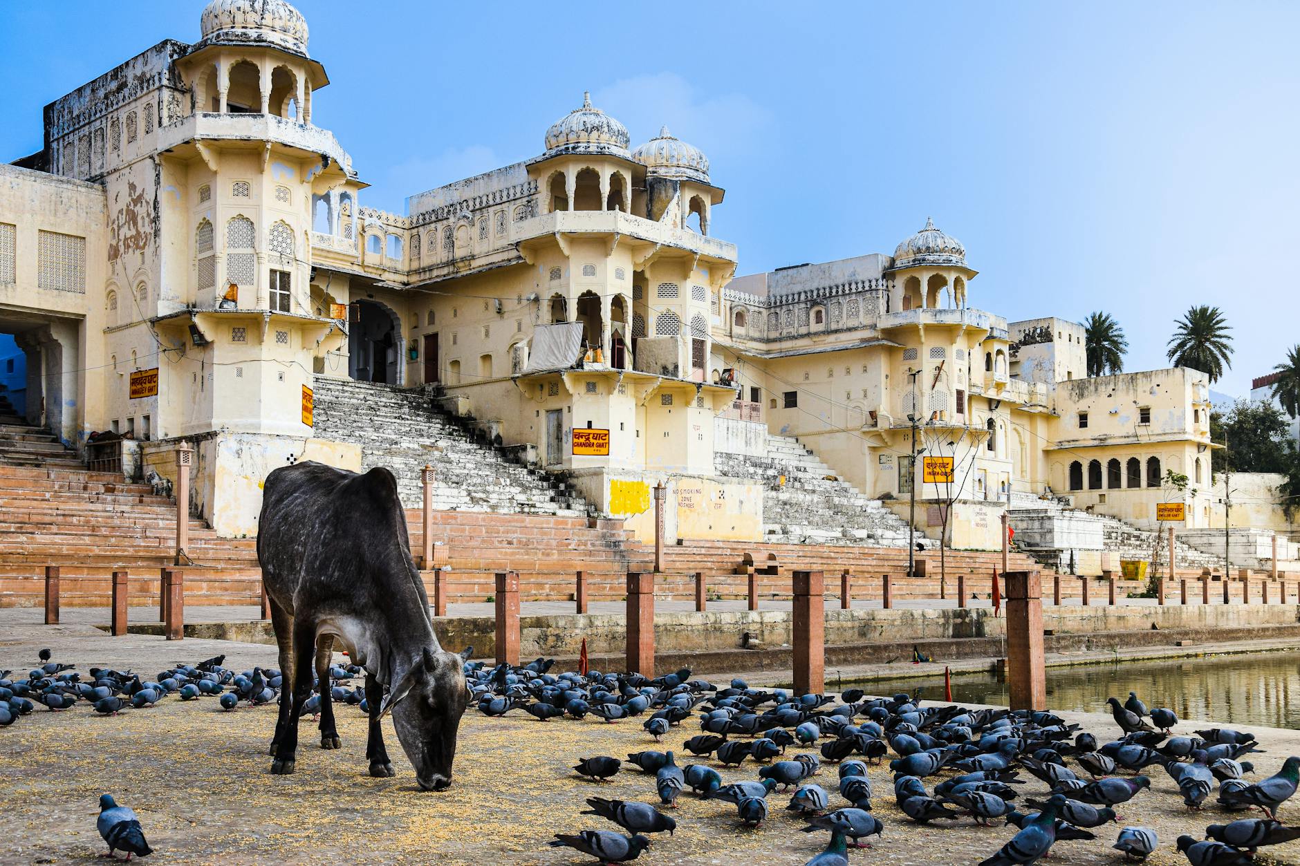 Pushkar architecture at night
