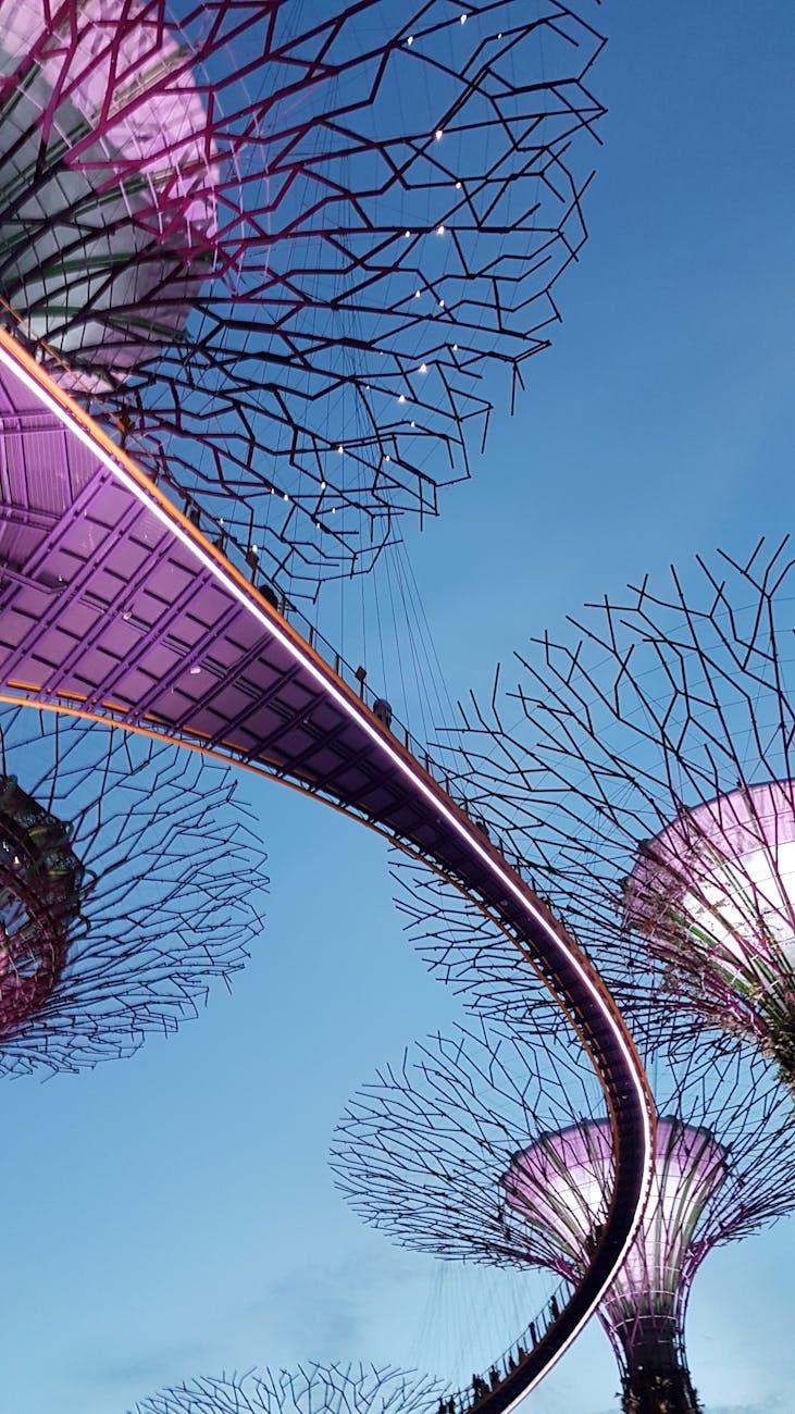 Elevated walkway winding between illuminated tree-like structures at dusk