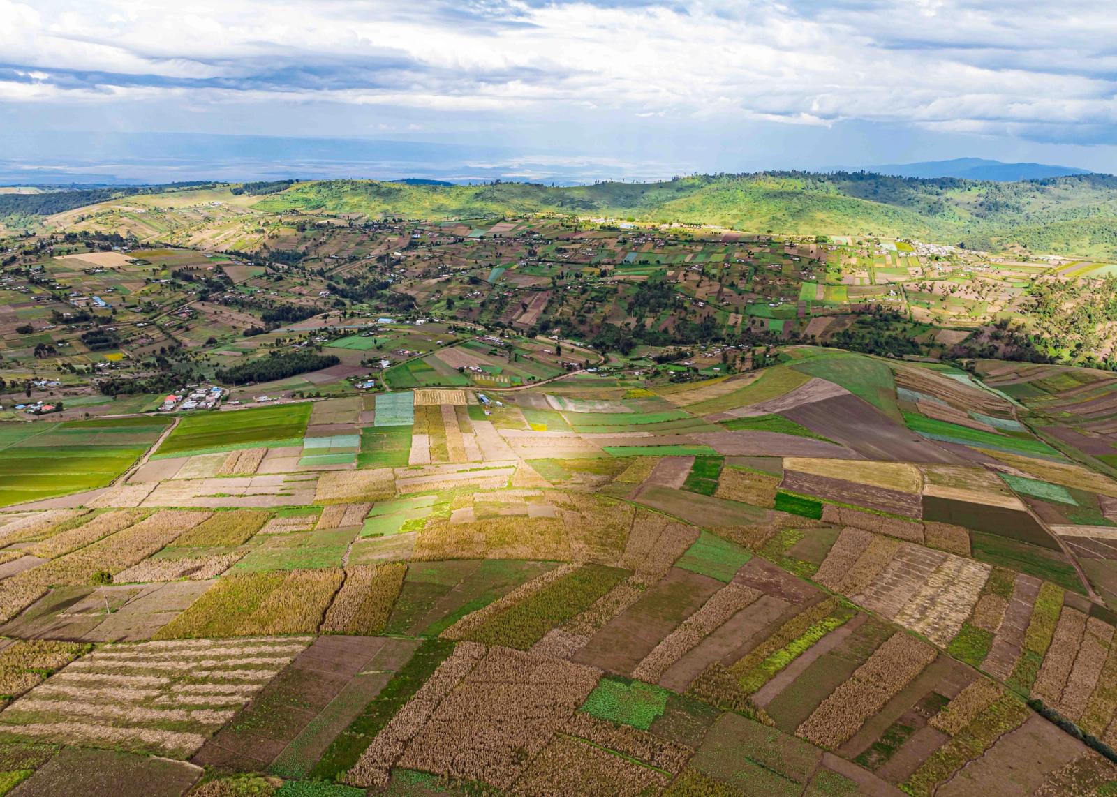 Aerial patchwork of farmland fields across a hilly valley