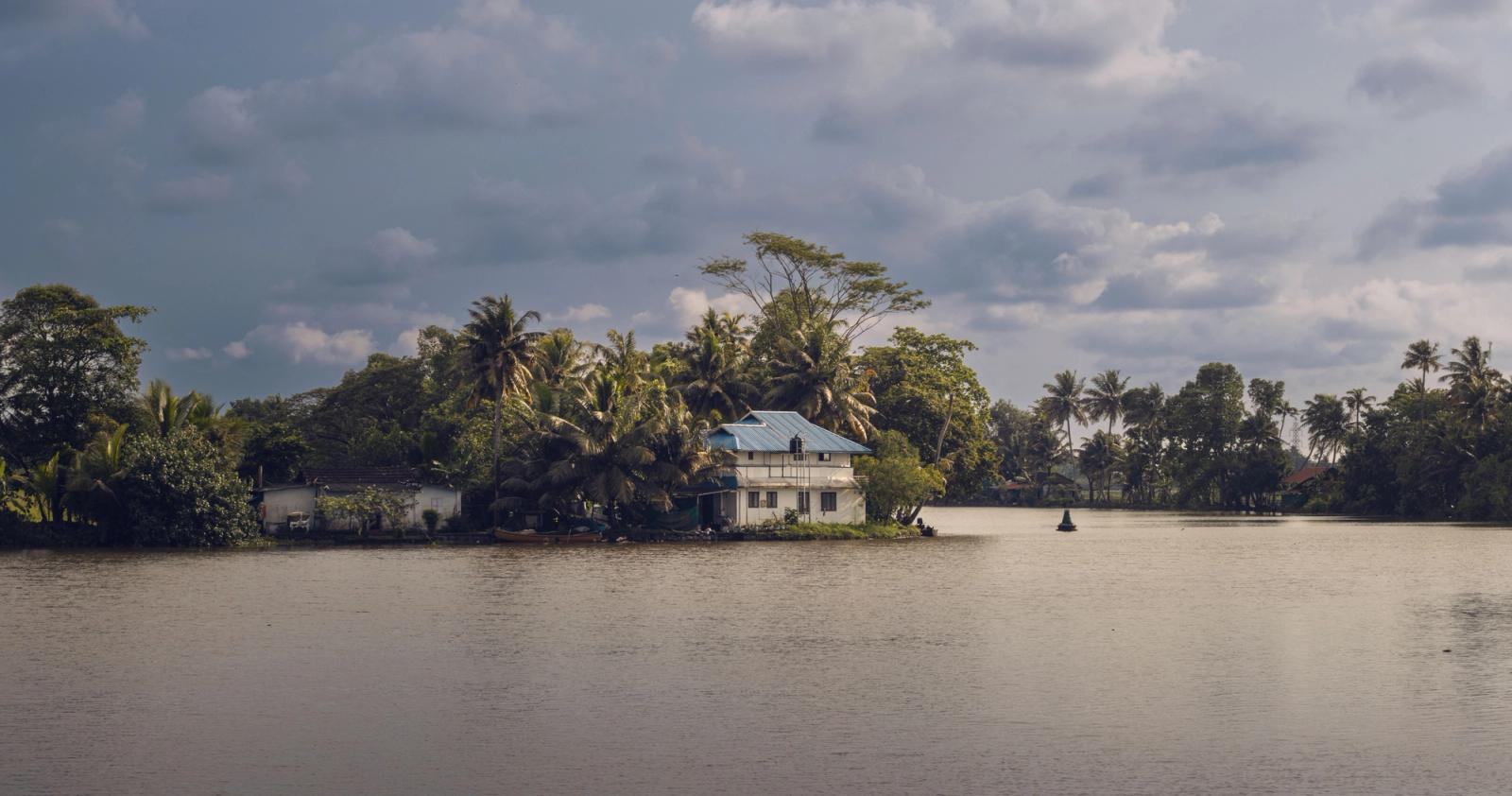 Scenic view of a tropical island with palm trees and a house in Kottayam, India