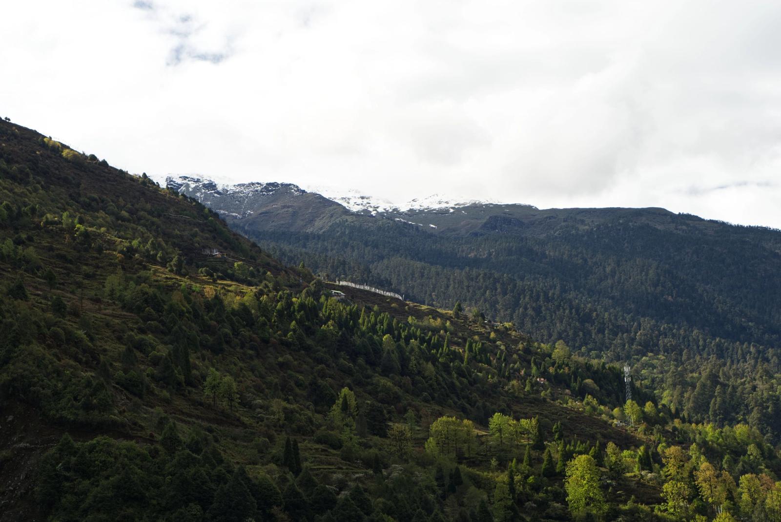 Forested hillsides with patches of snow beneath a cloudy sky