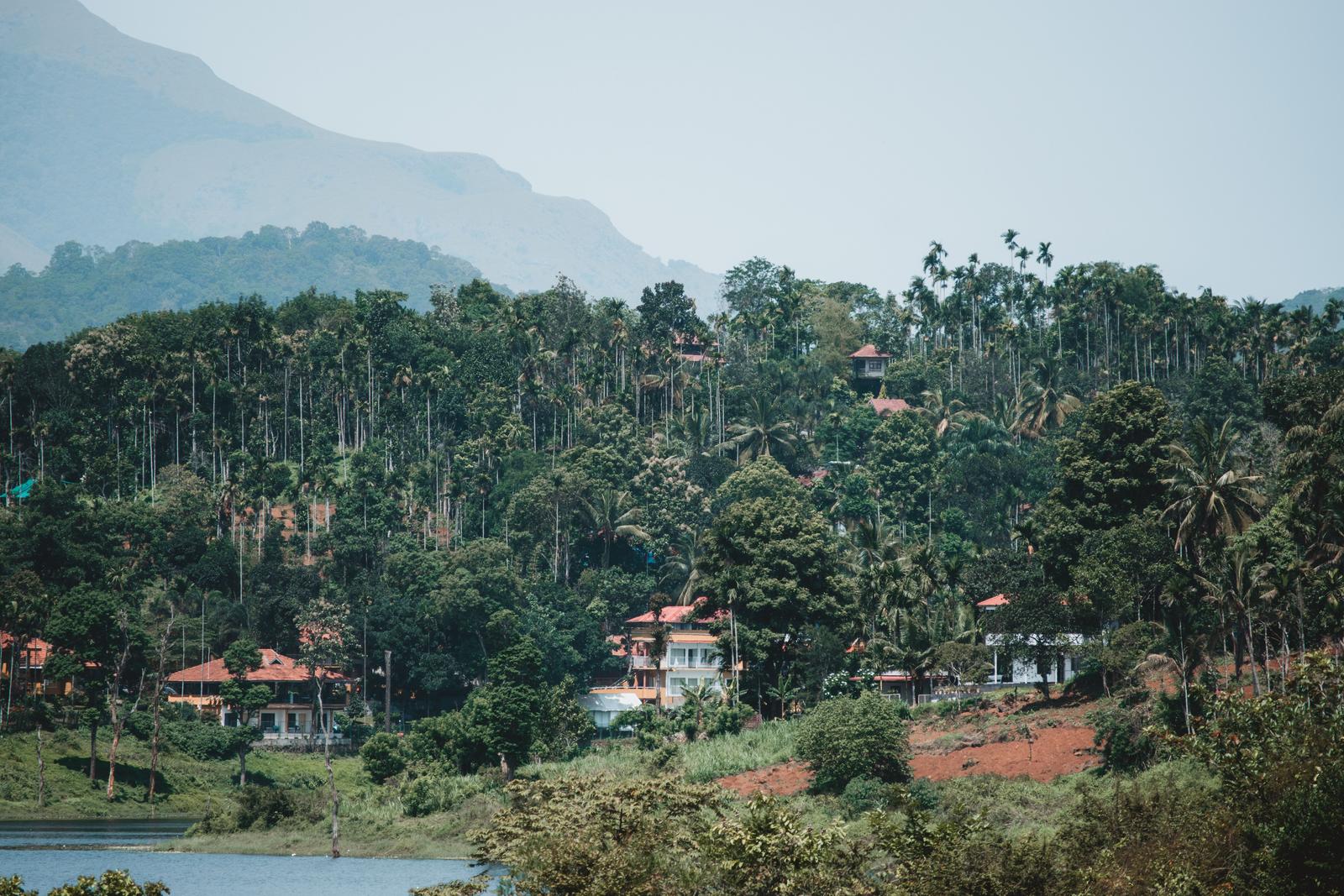Houses with red tiled roofs among palm trees beside a lake