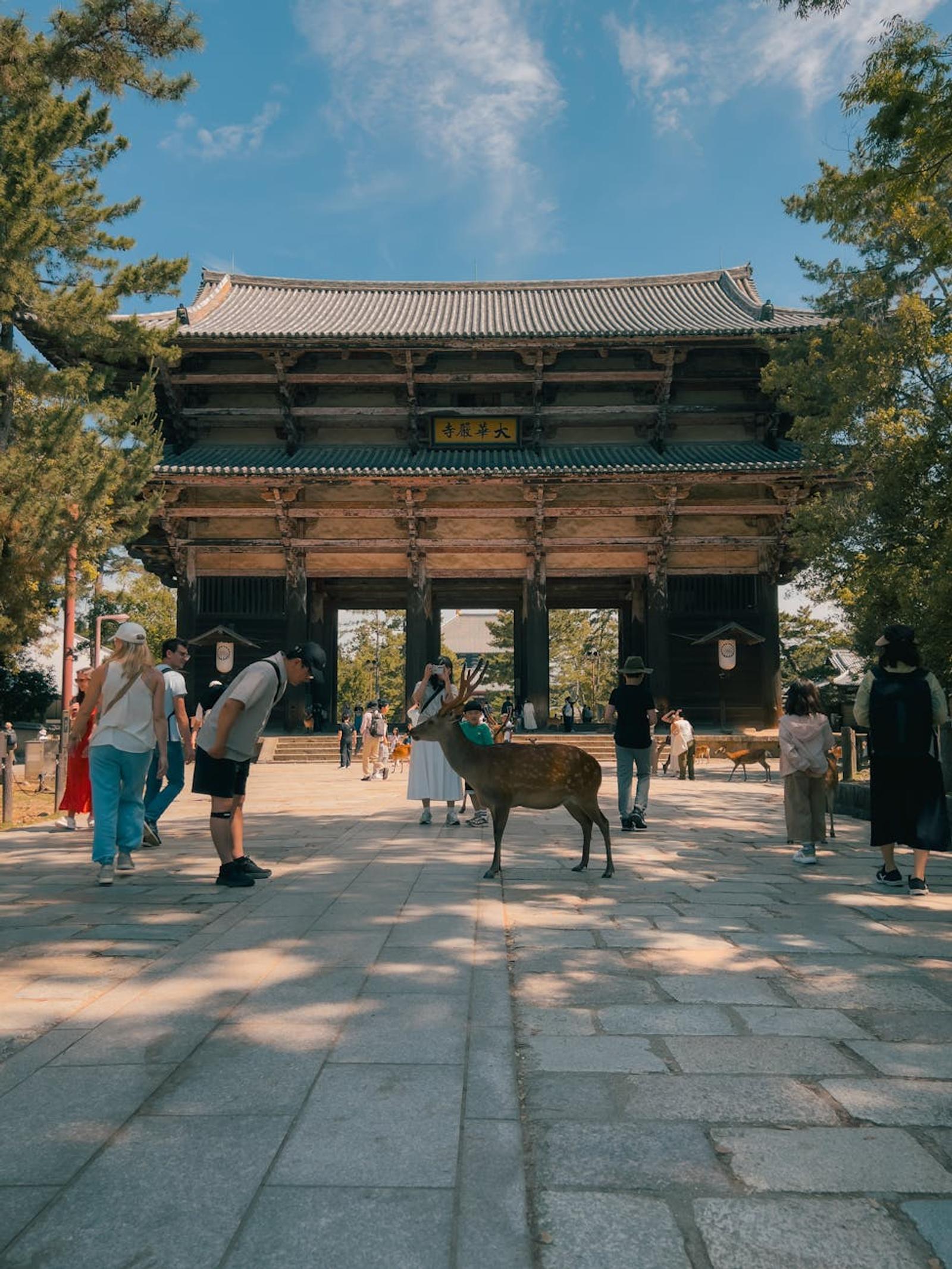 Full Nara Kyoto — Japan
