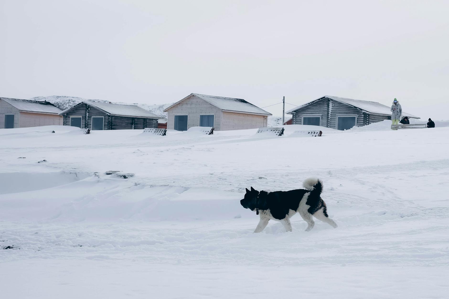 Husky Park & Saami Village, Russia