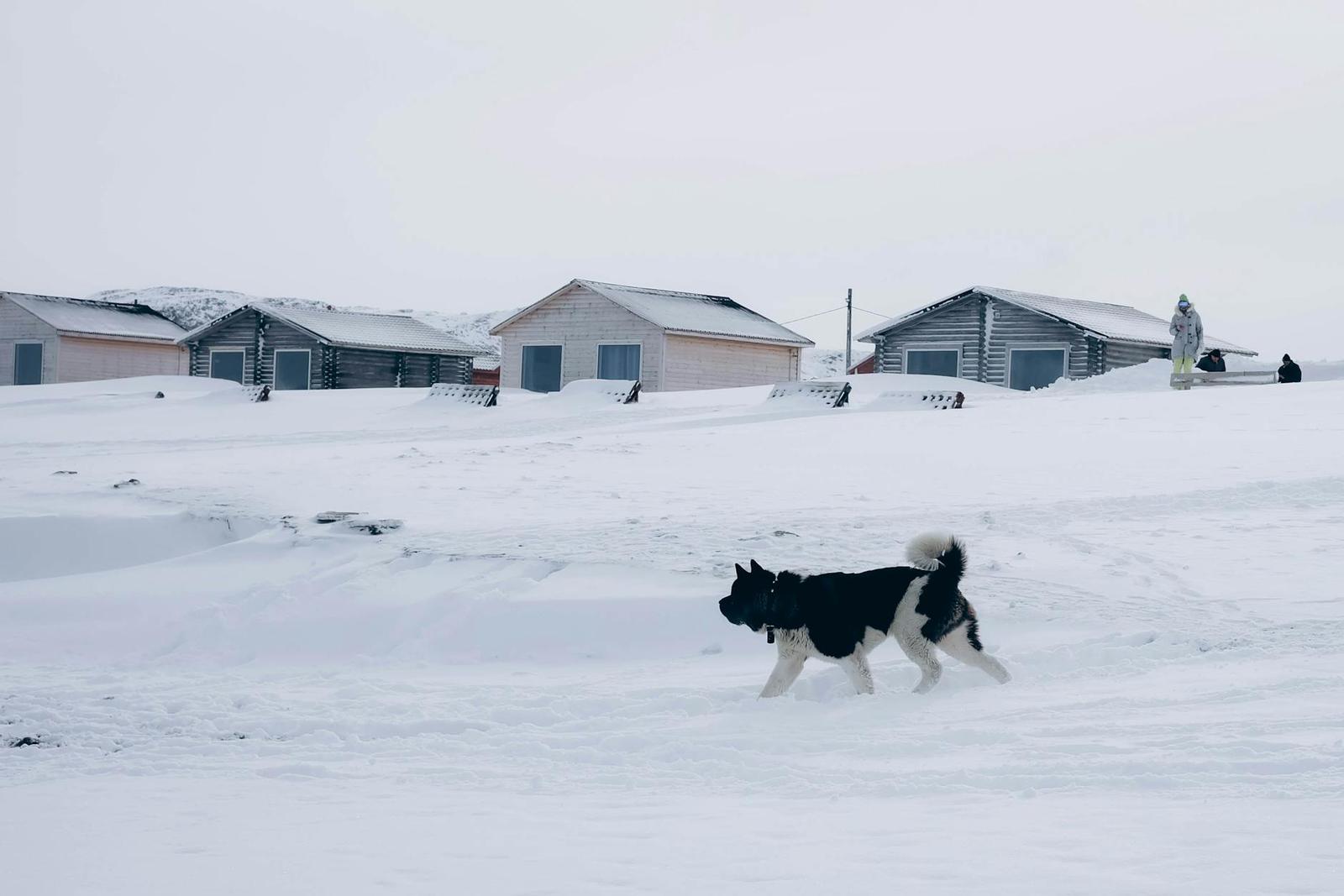 Husky Park & Saami Village, Russia