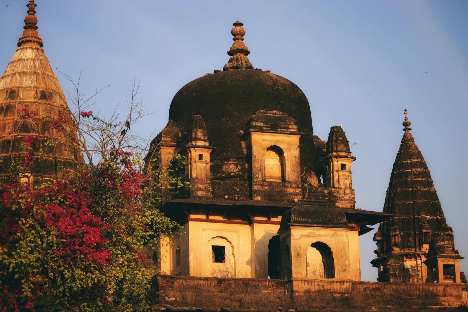 Domed stone cenotaph glowing at golden hour beside flowering bougainvillea