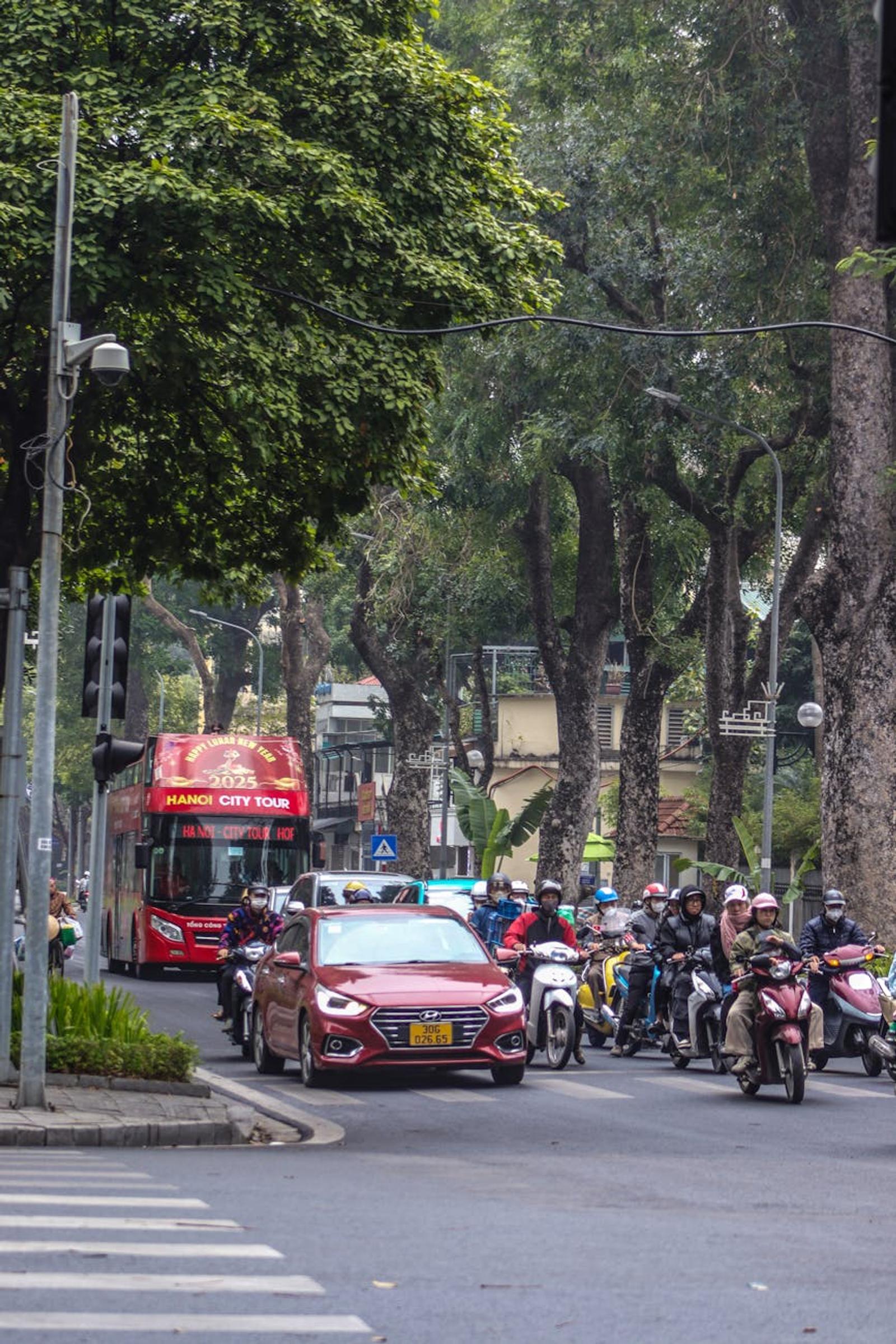 Motorbikes and cars sharing a tree-lined city street with a tour bus