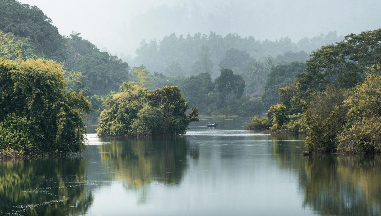 Serene river view with lush greenery in Karnataka, India captured during daylight