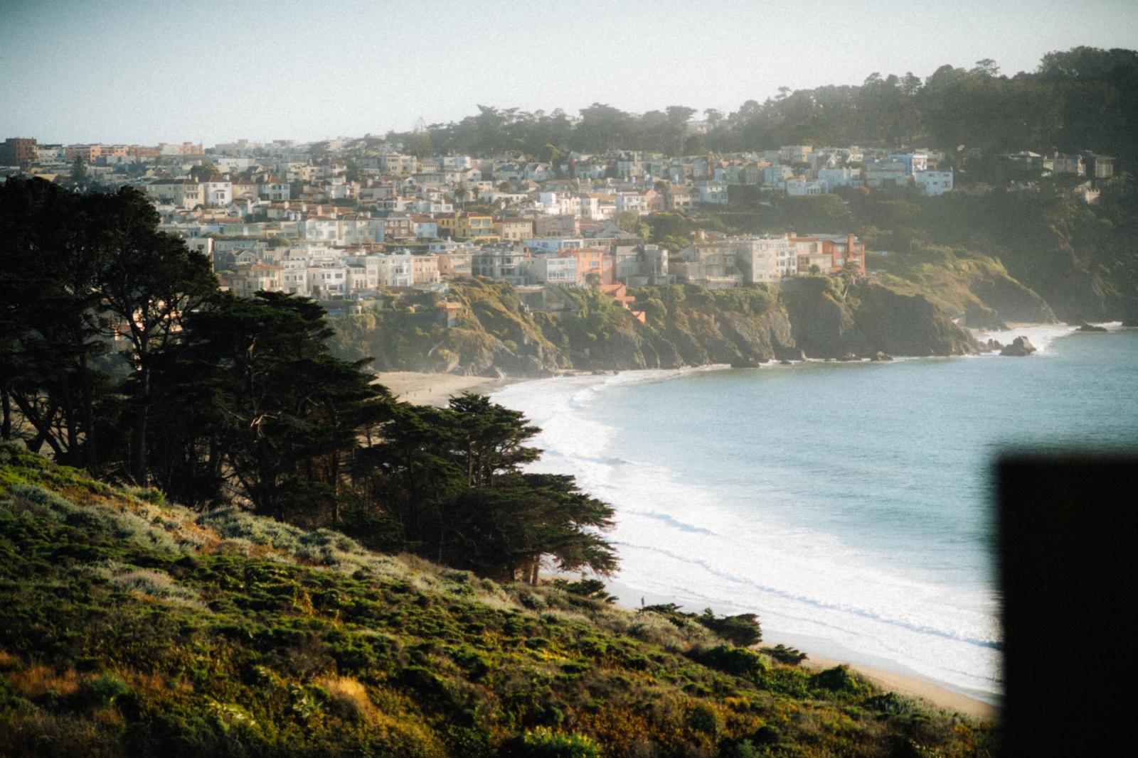 Picturesque view of San Francisco's urban landscape by the coast with trees and shoreline